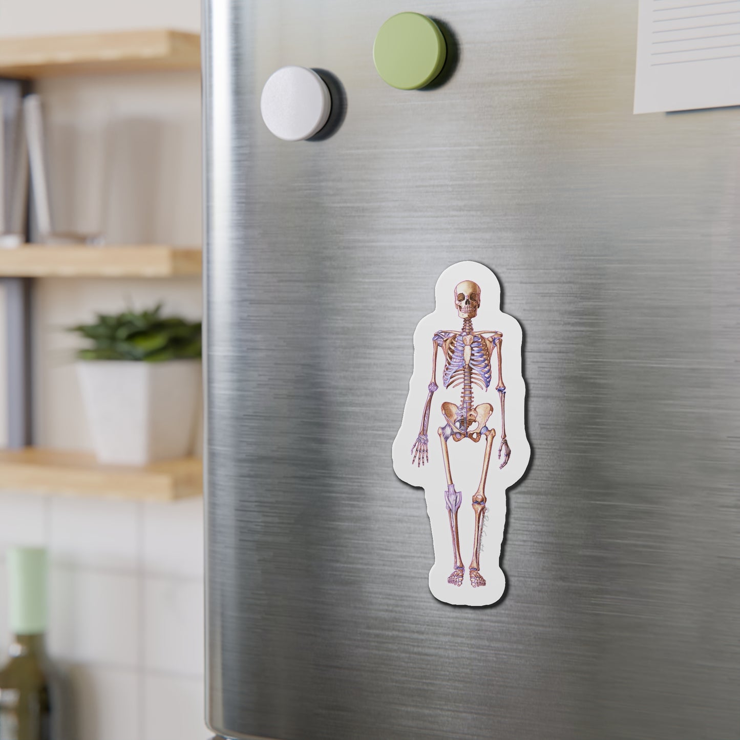 Skeleton - Diecut Magnet