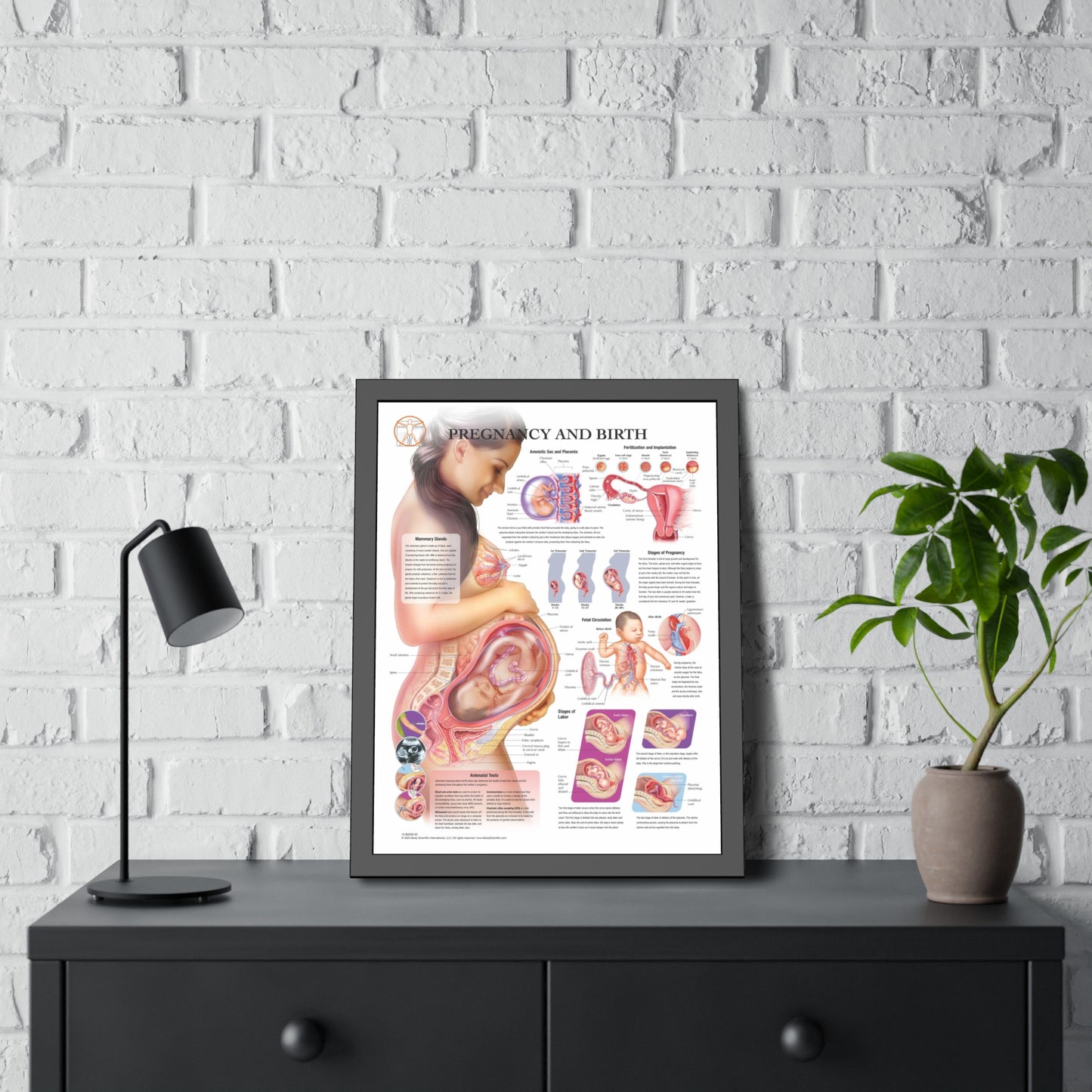 Framed Pregnancy and Birth