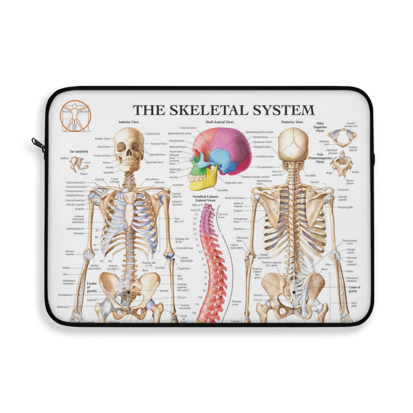 Skeletal System Laptop Sleeve