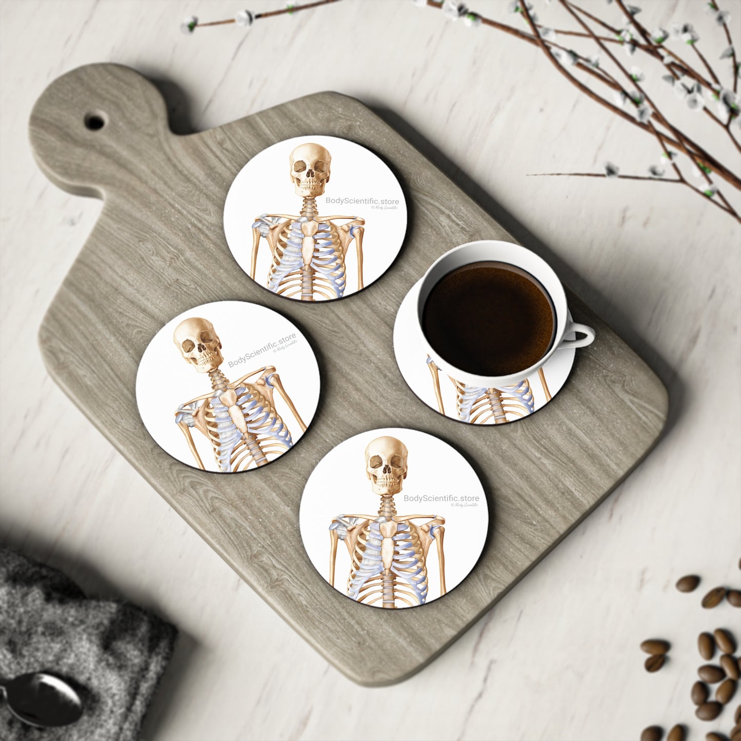 Skeleton Coasters