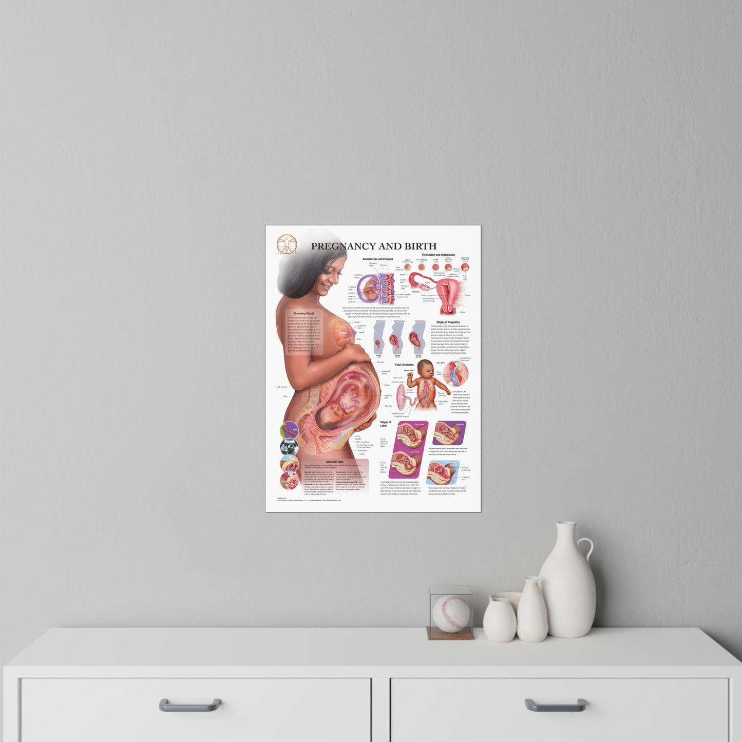 Pregnancy and Birth - Decal
