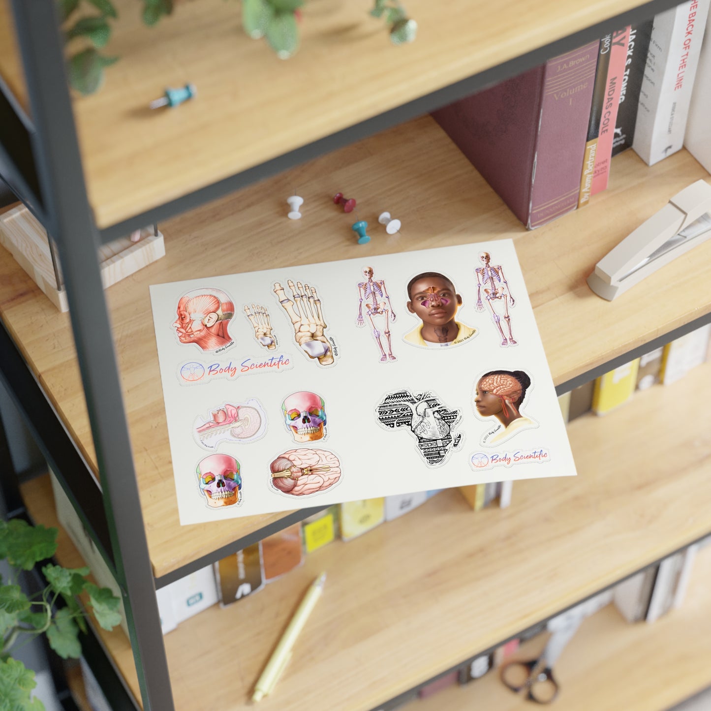 Sticker Sheets - Diecut Sticker
