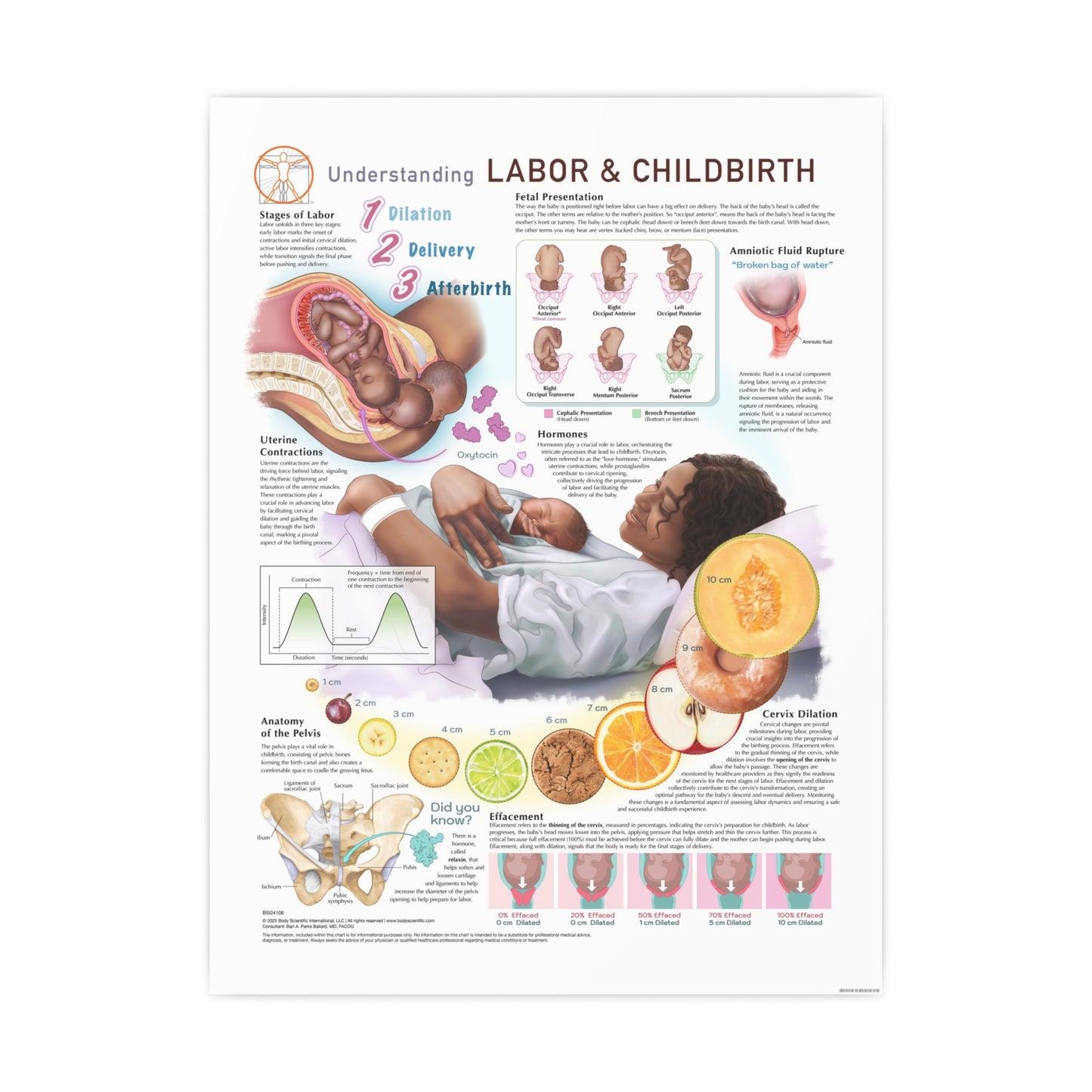 Labor & Childbirth