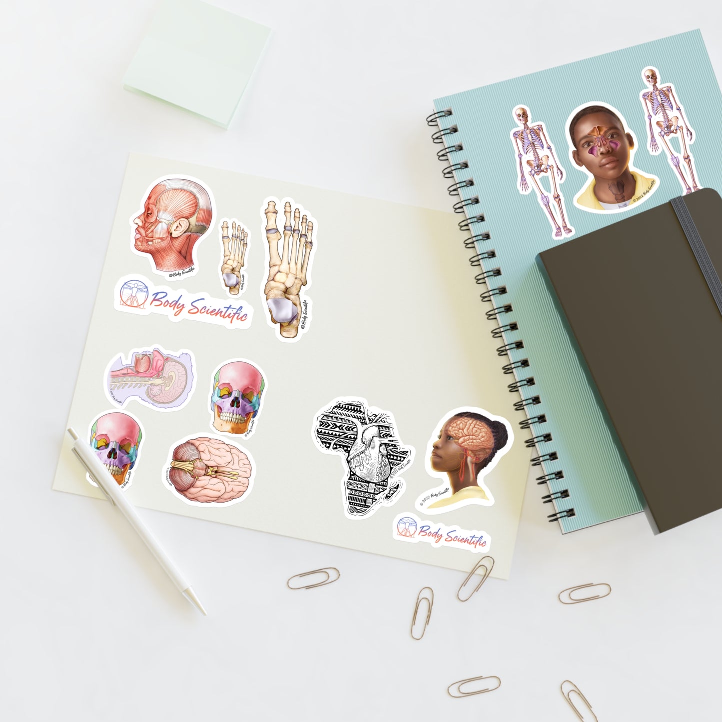 Sticker Sheets - Diecut Sticker
