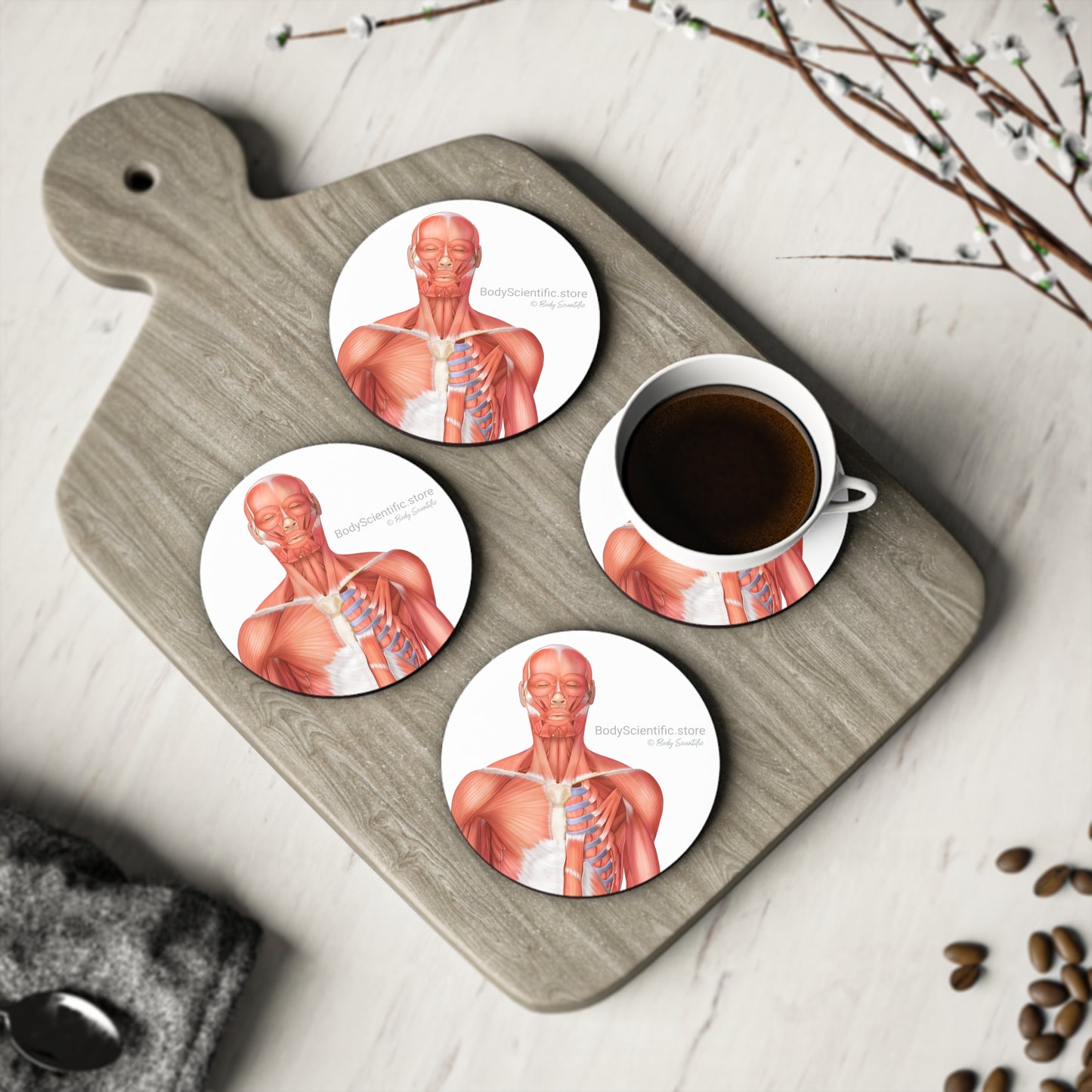 Muscle Coasters