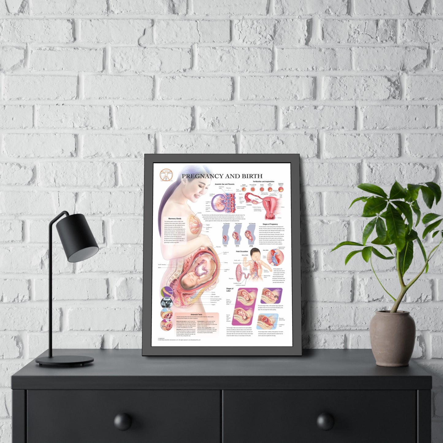 Framed Pregnancy and Birth