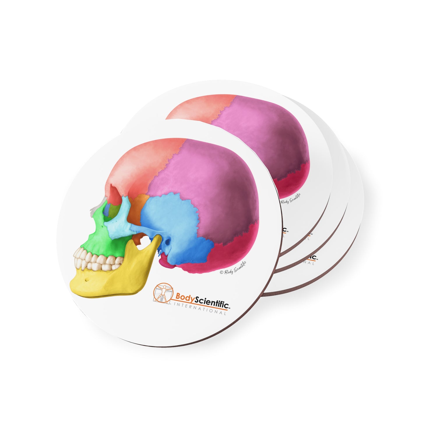 Lateral Skull Coasters