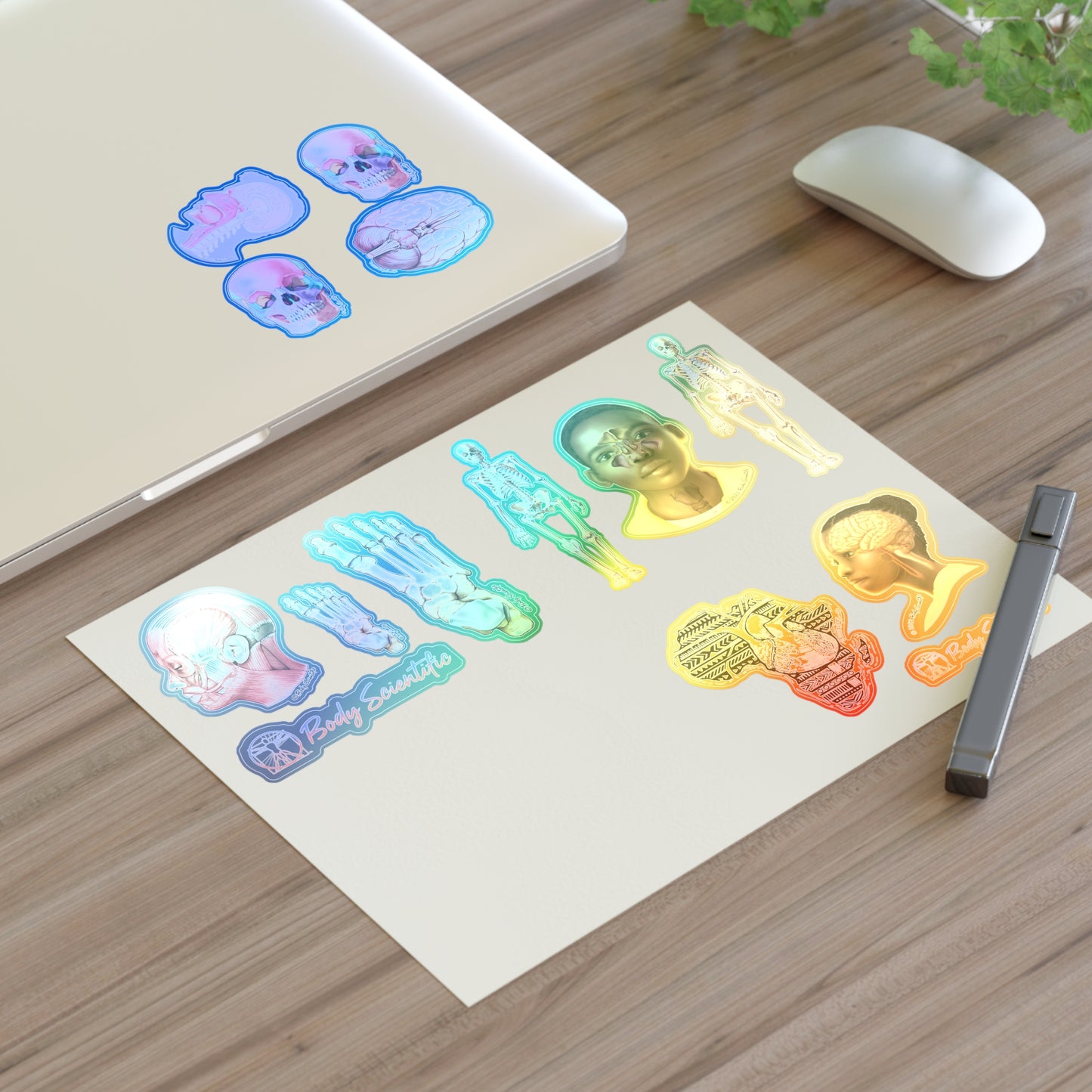 Sticker Sheets - Diecut Sticker