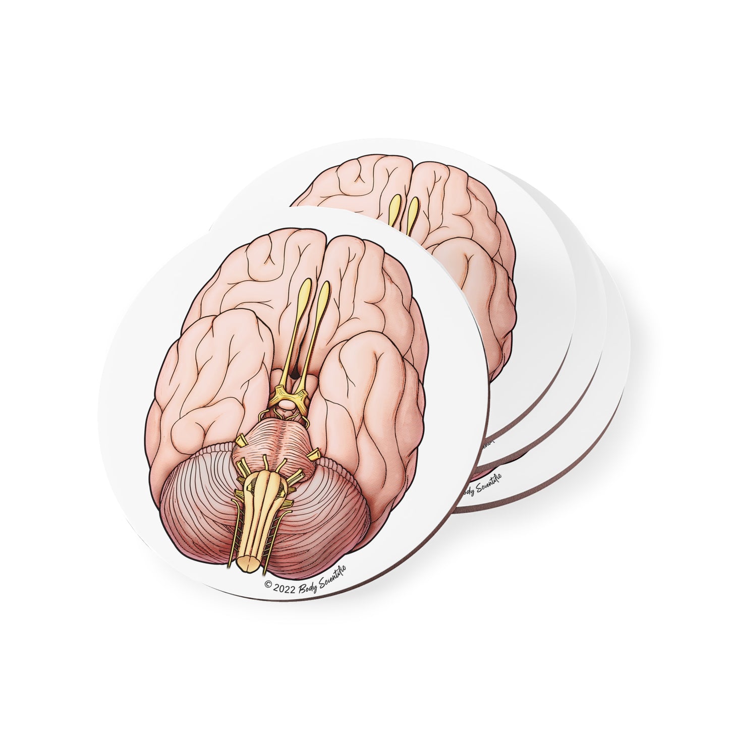 Brain Coasters
