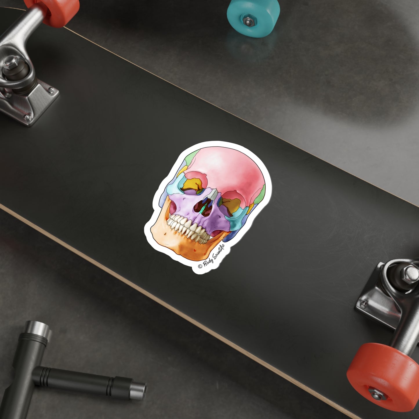Skull - Diecut Sticker