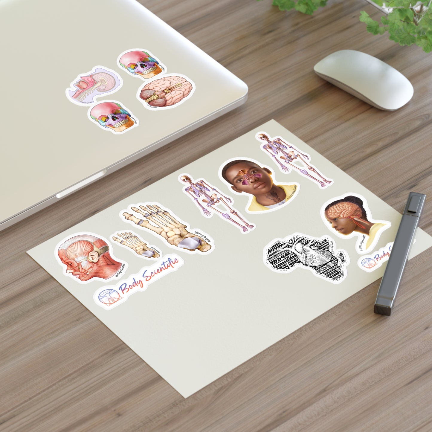 Sticker Sheets - Diecut Sticker