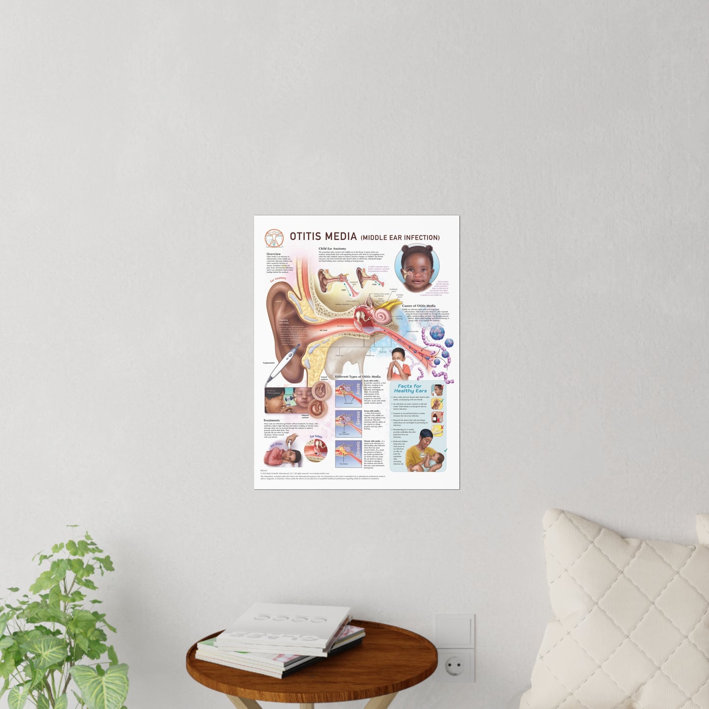 Otitis Media (Middle Ear Infection) - Decal