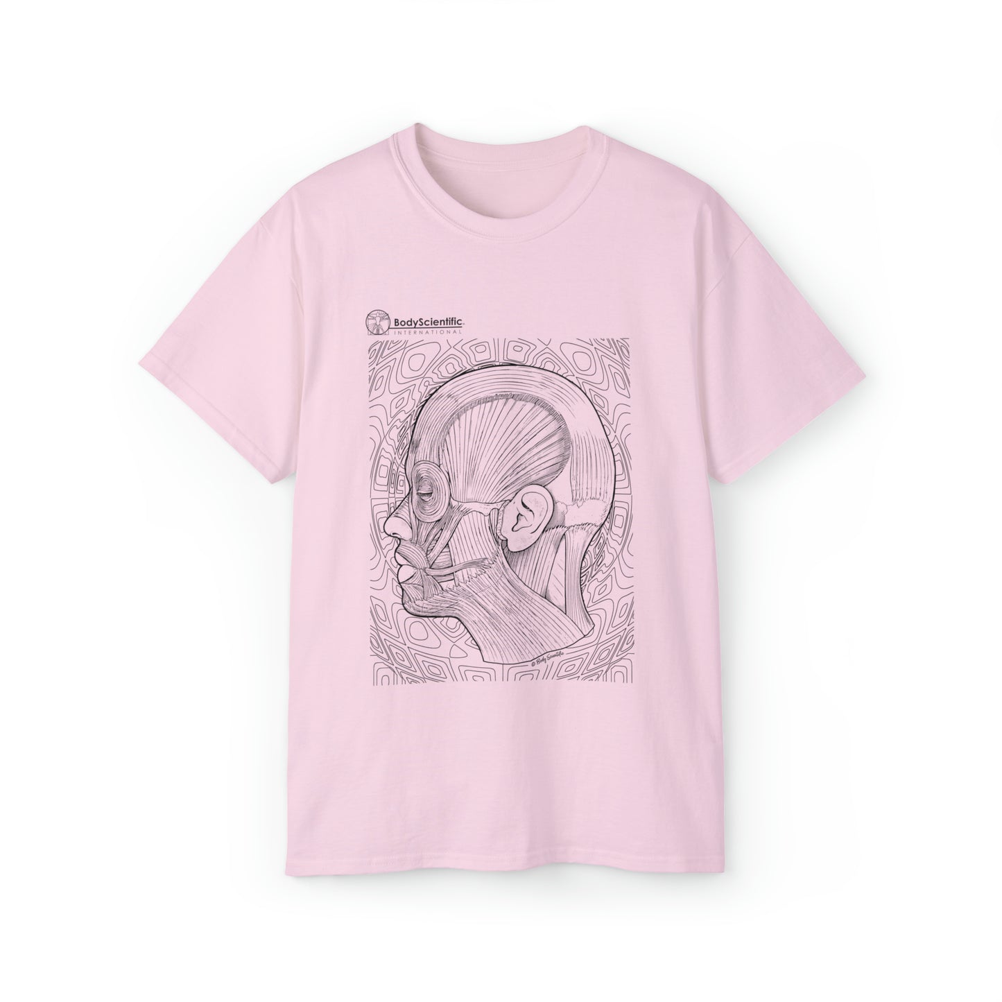 Facial Muscles (side)