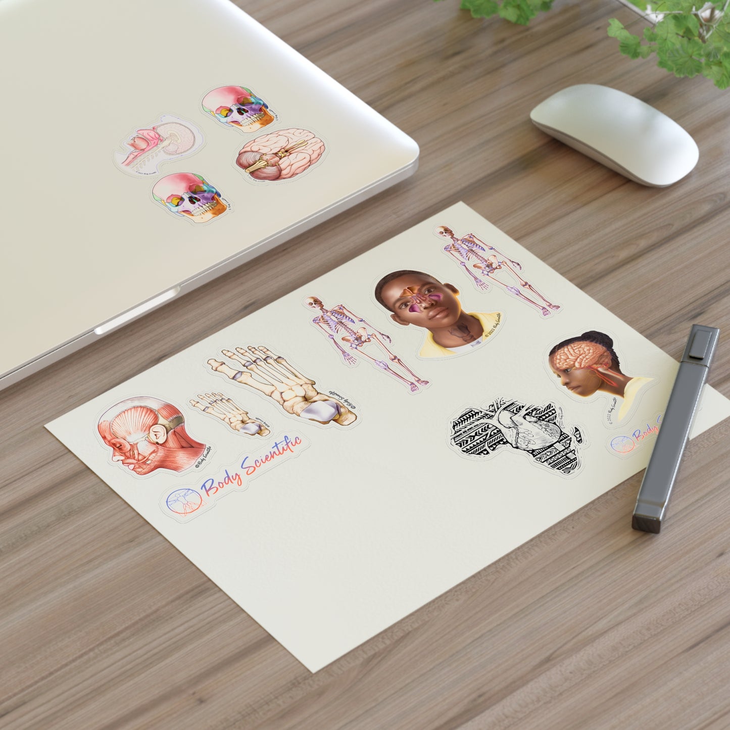Sticker Sheets - Diecut Sticker