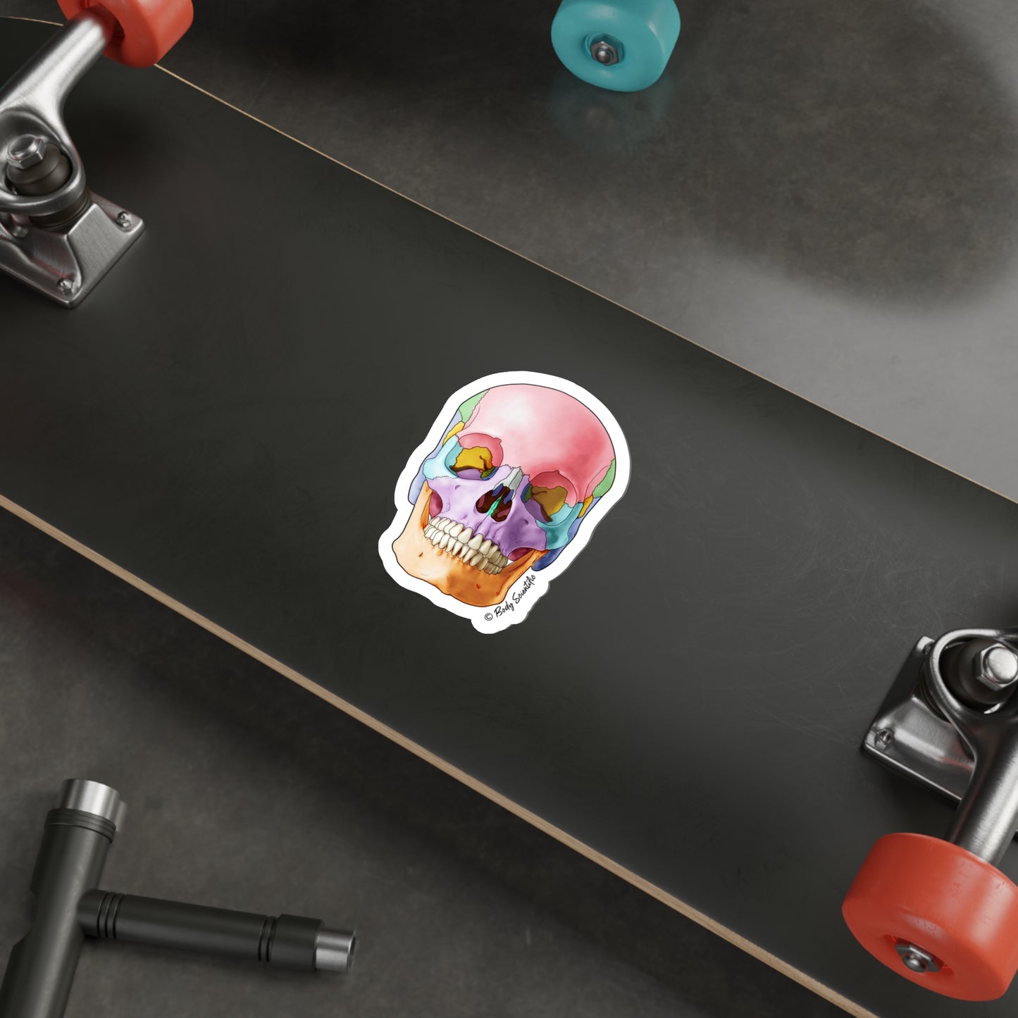 Skull - Diecut Sticker