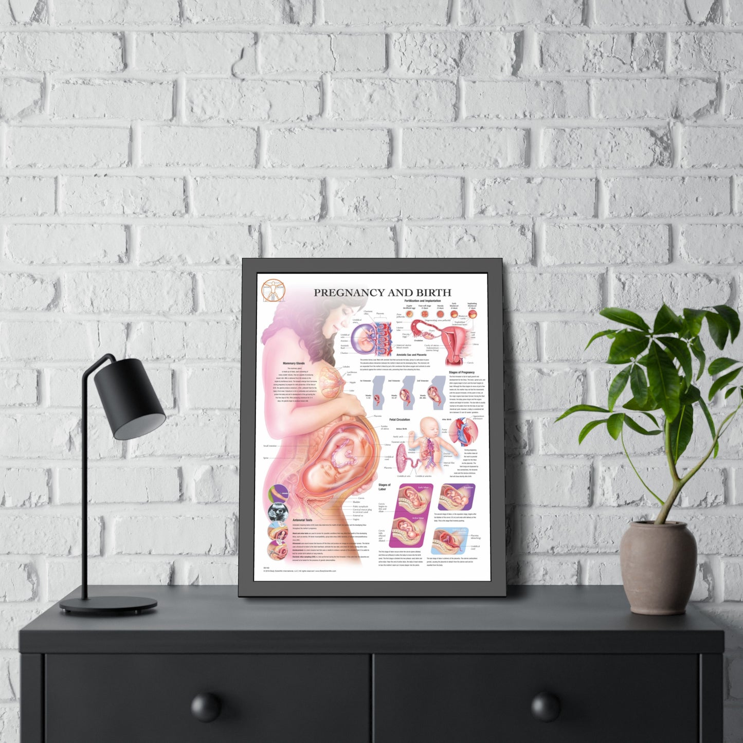 Framed Pregnancy and Birth