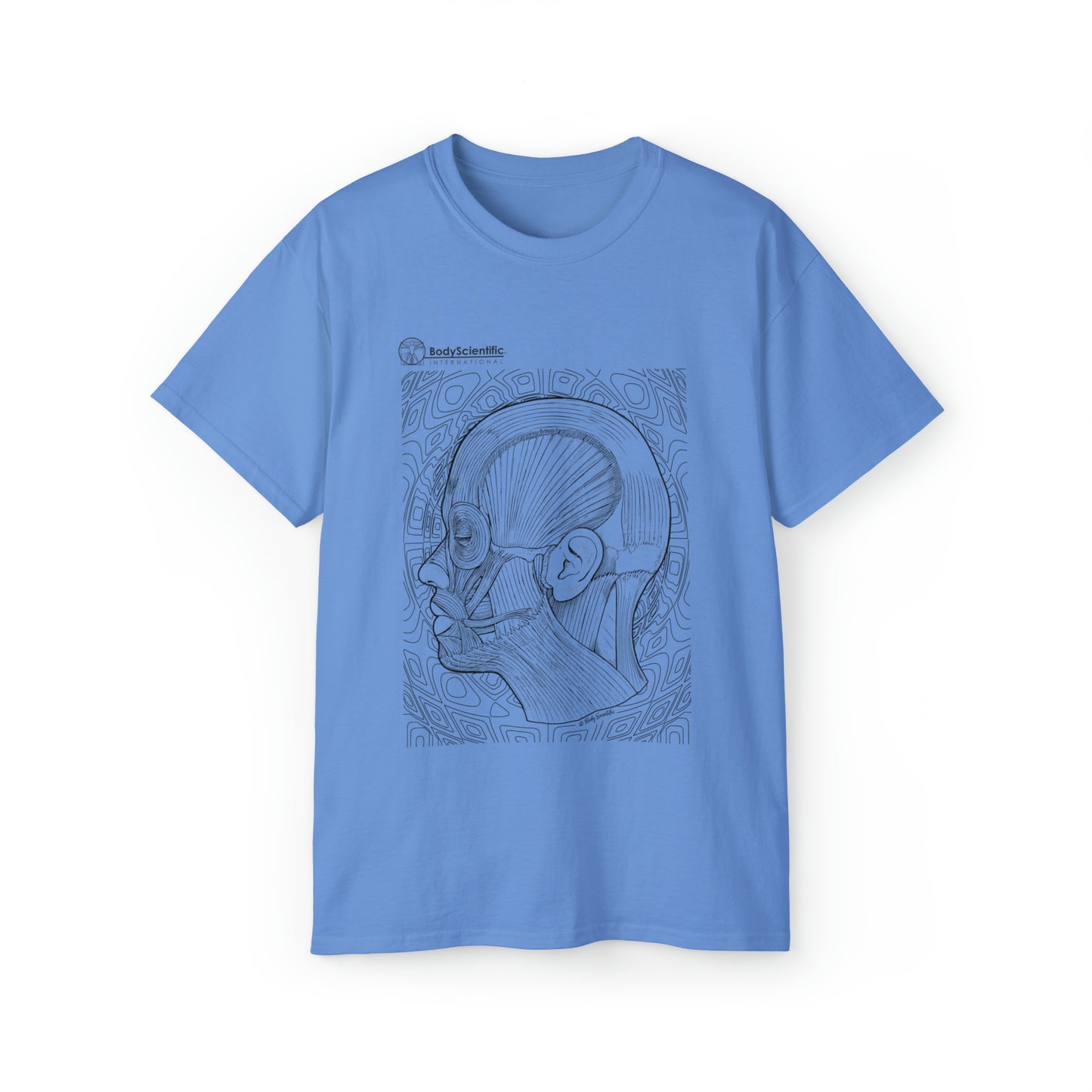 Facial Muscles (side)