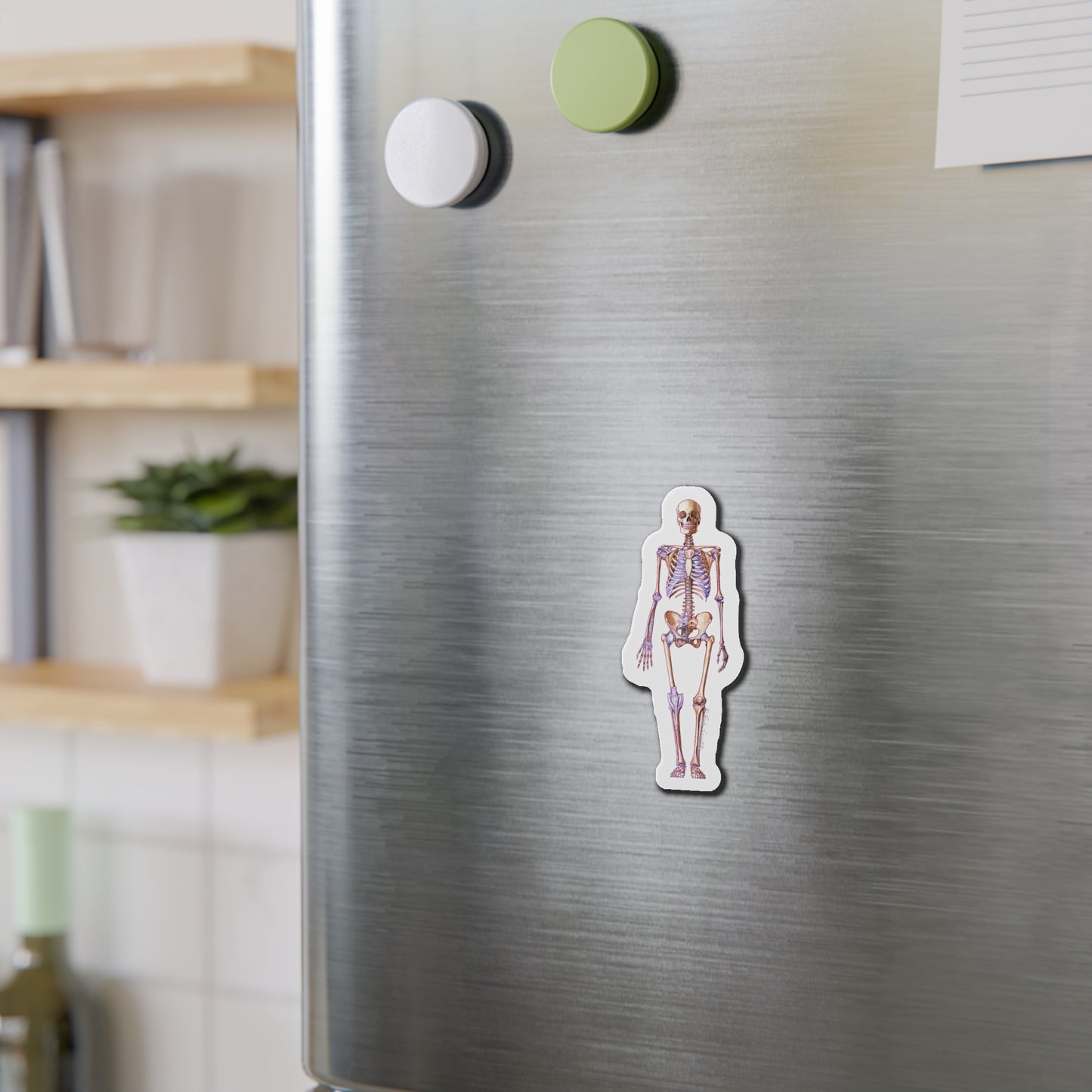 Skeleton - Diecut Magnet