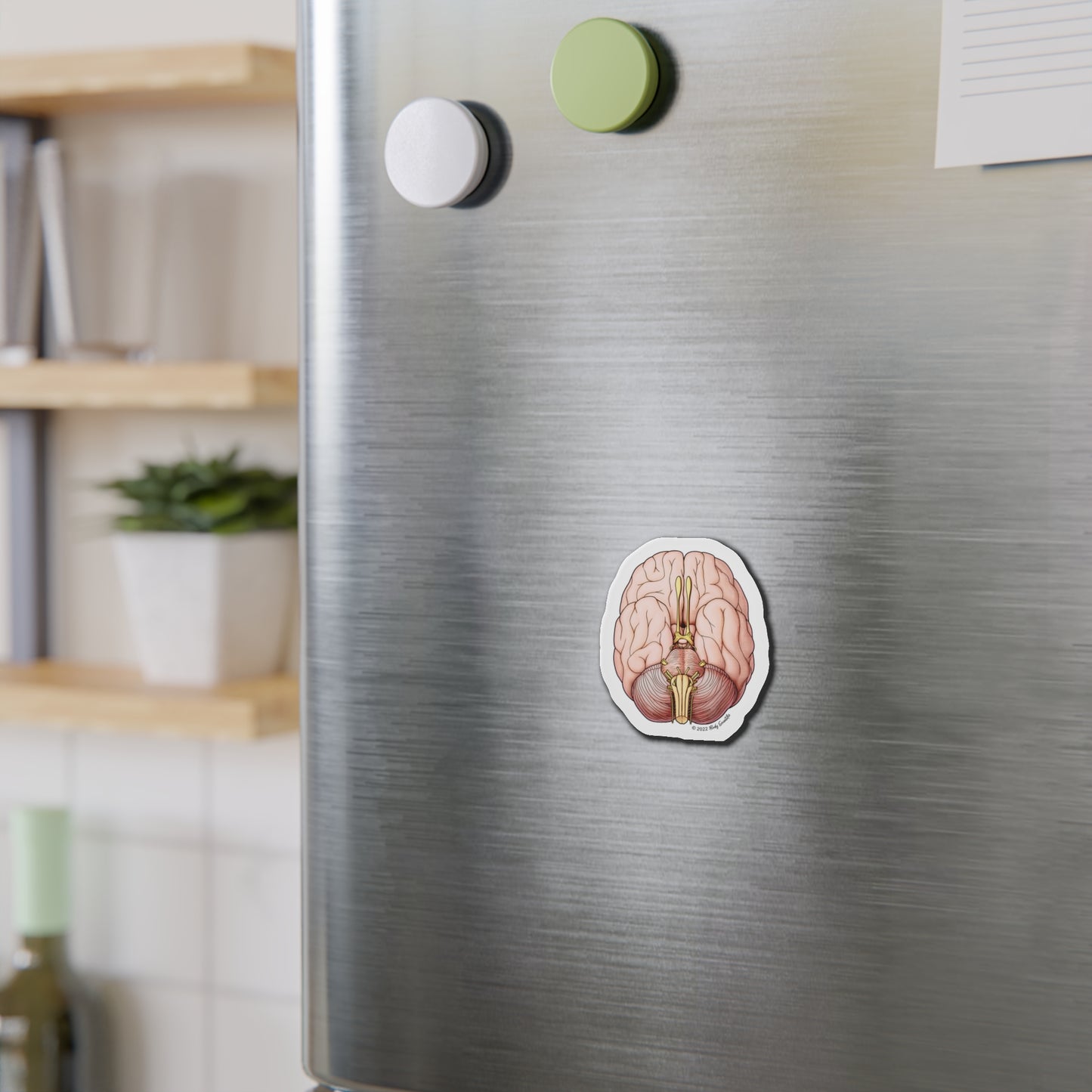 Brain - Diecut Magnet