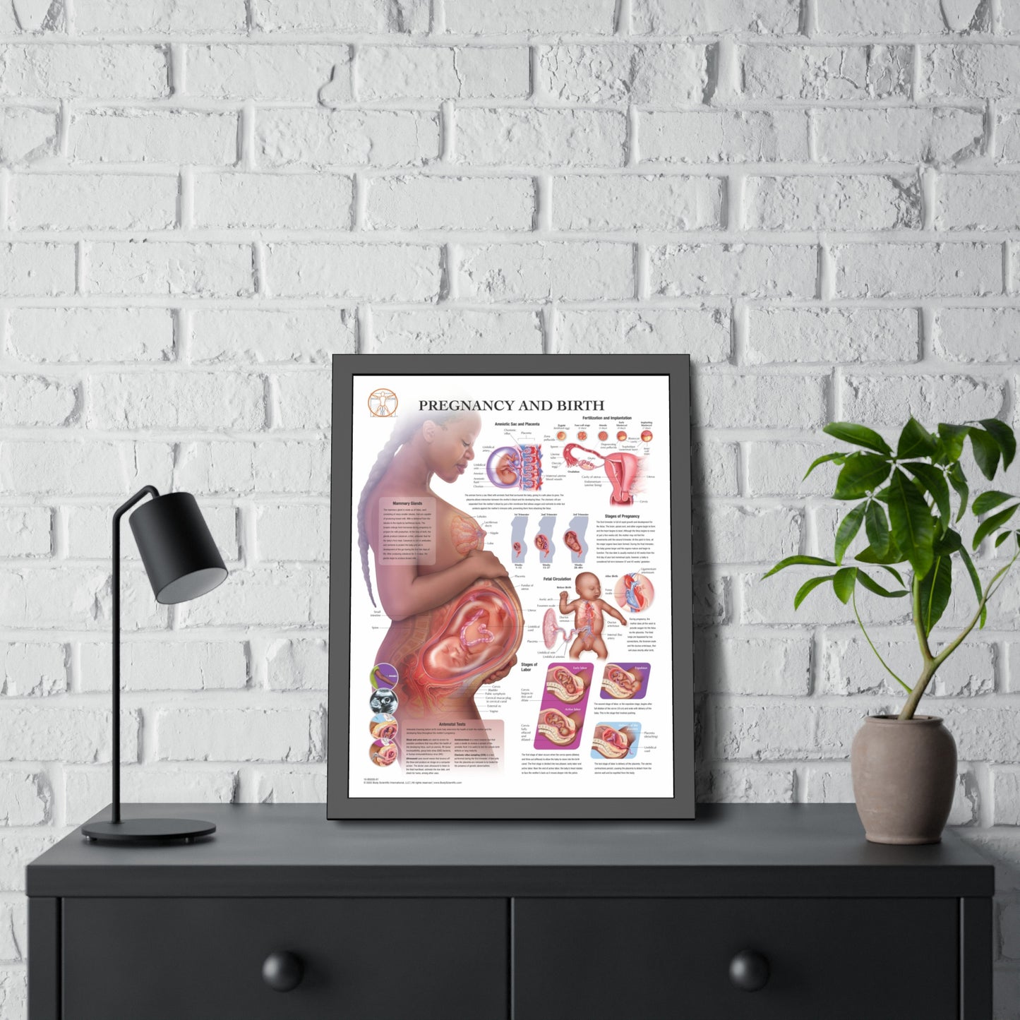 Framed Pregnancy and Birth