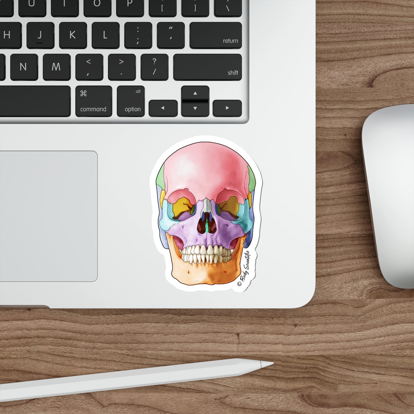 Skull - Diecut Sticker