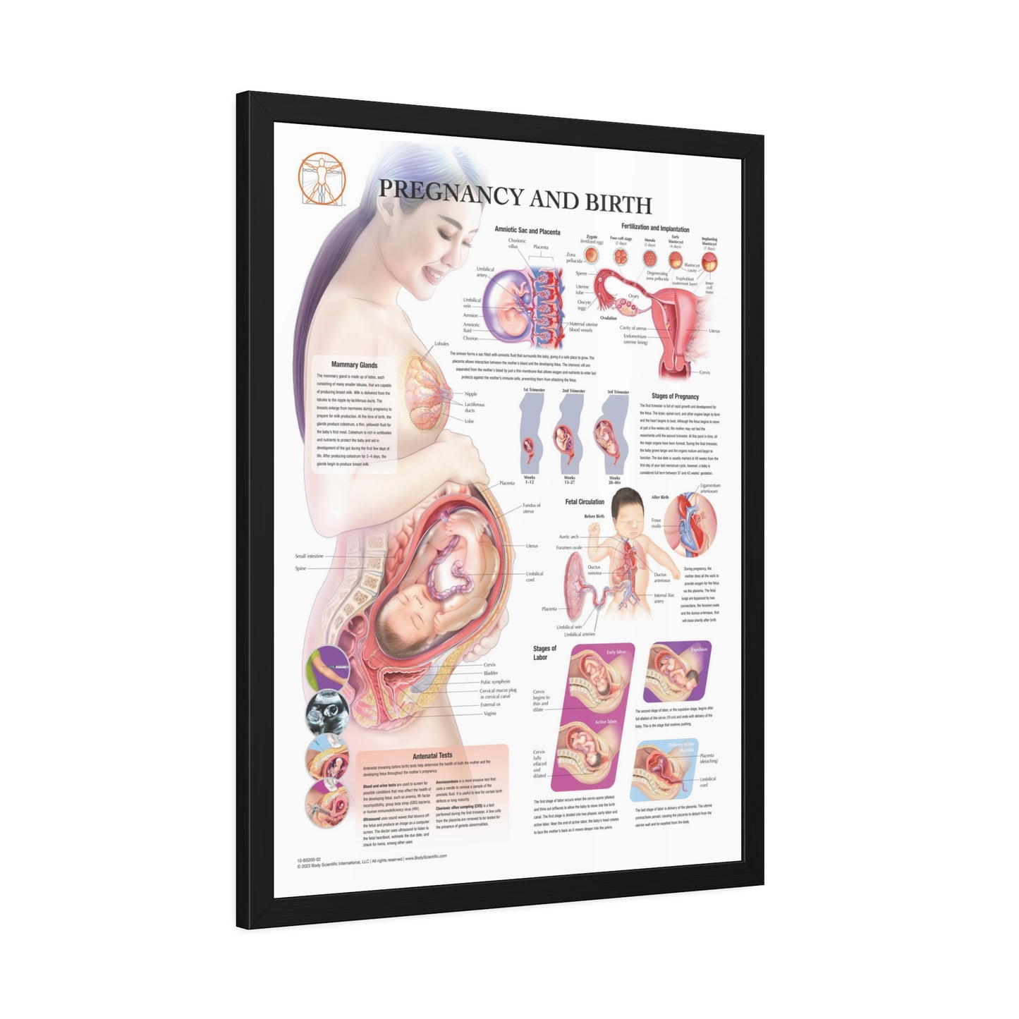 Framed Pregnancy and Birth