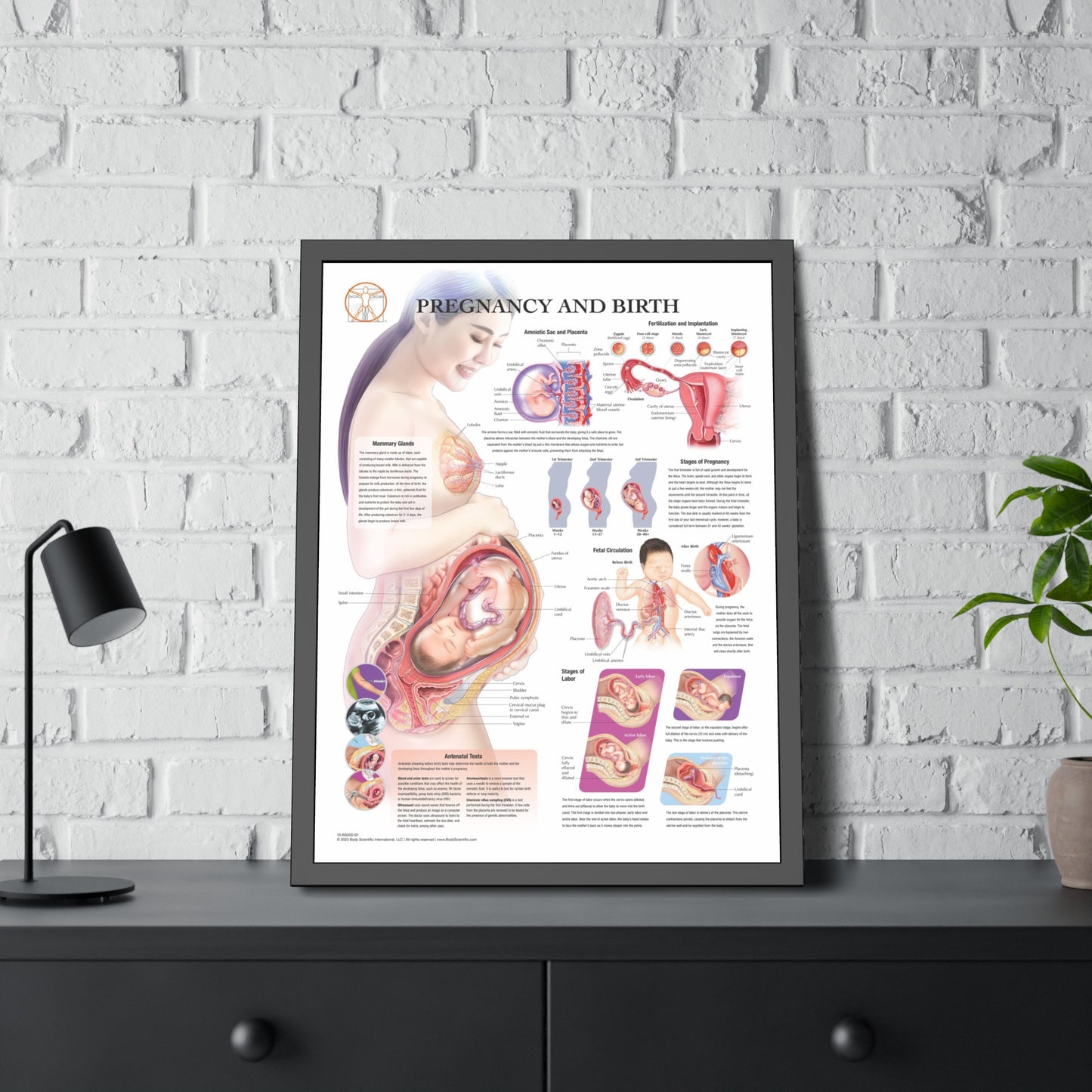 Framed Pregnancy and Birth