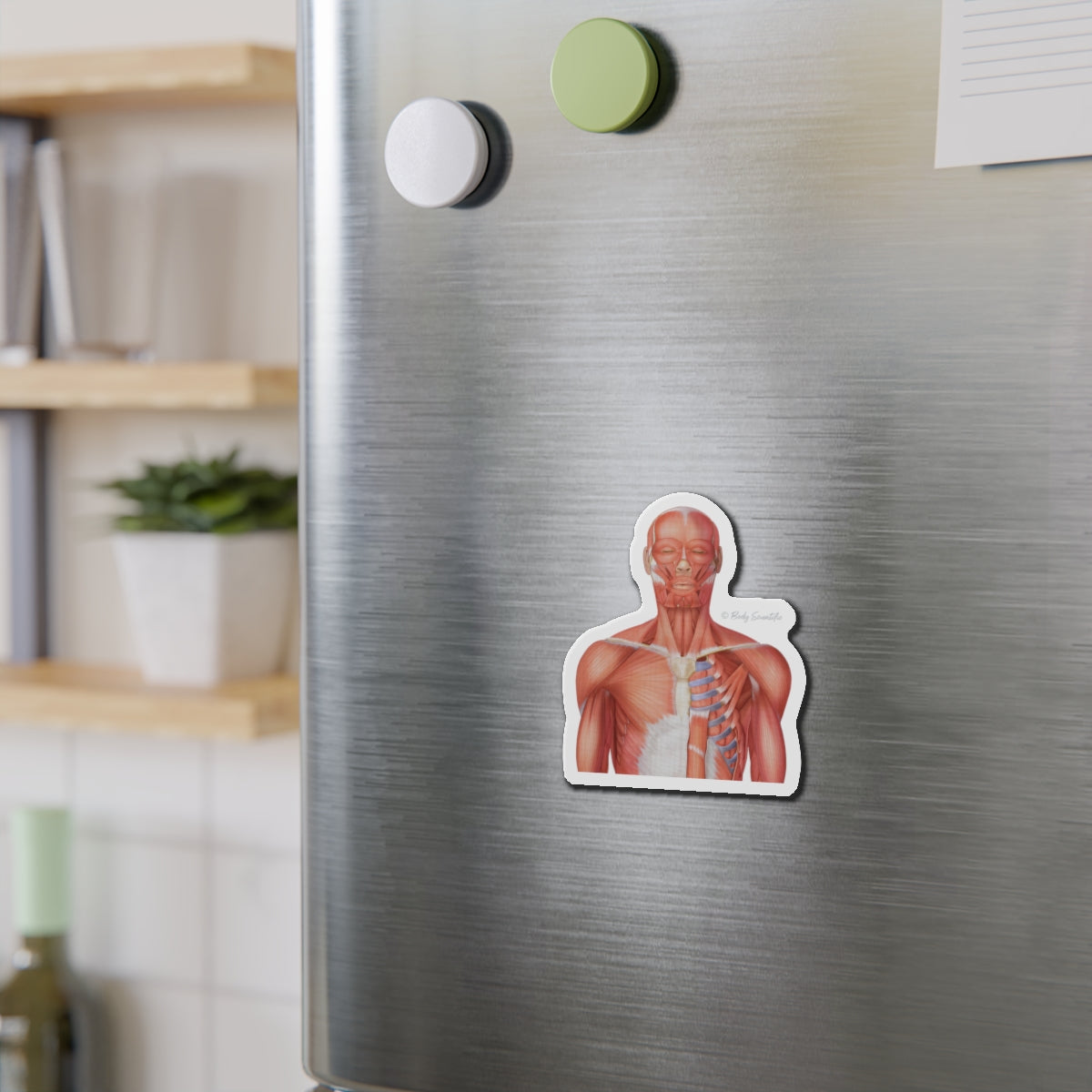 Muscle - Diecut Magnet