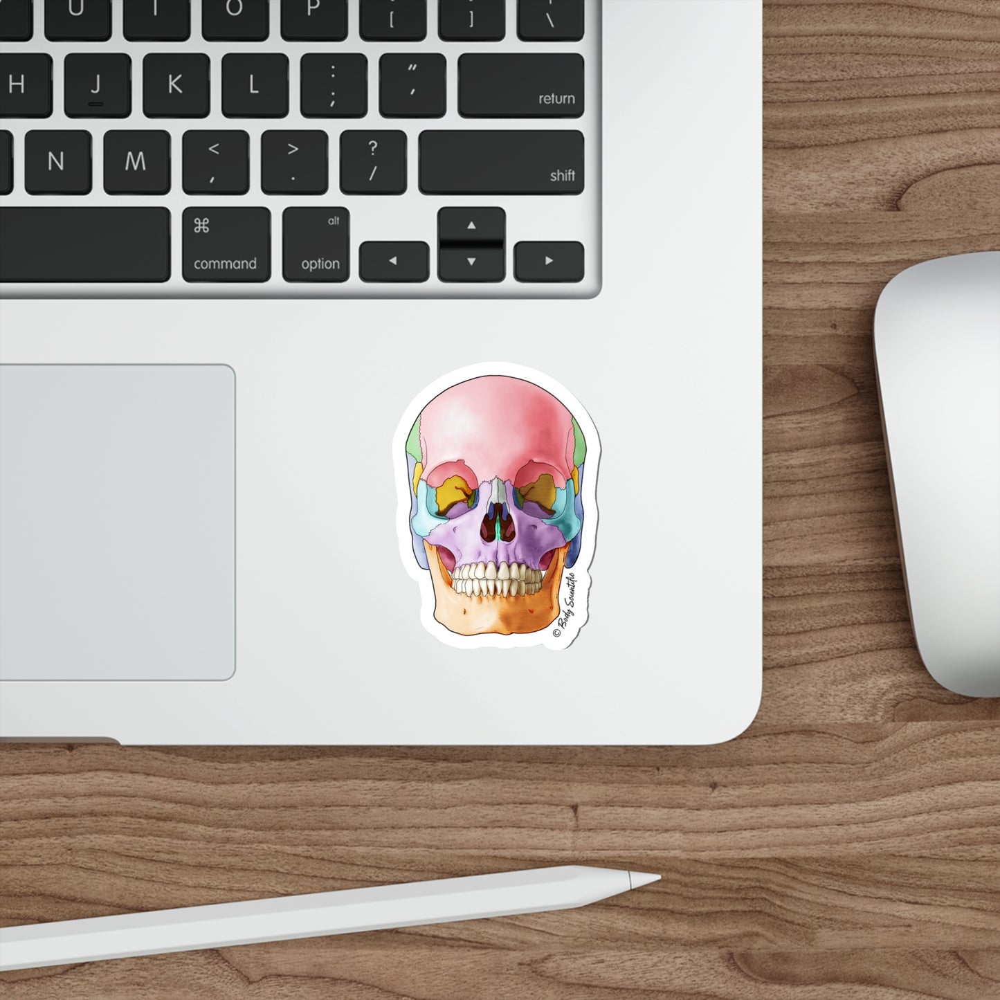 Skull - Diecut Sticker