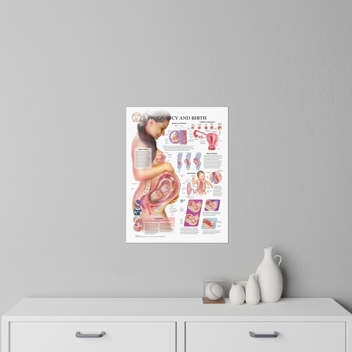 Pregnancy and Birth - Decal