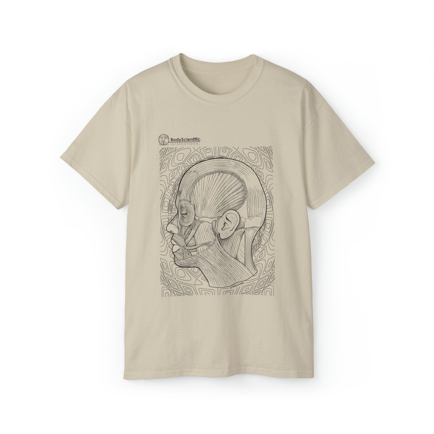 Facial Muscles (side)