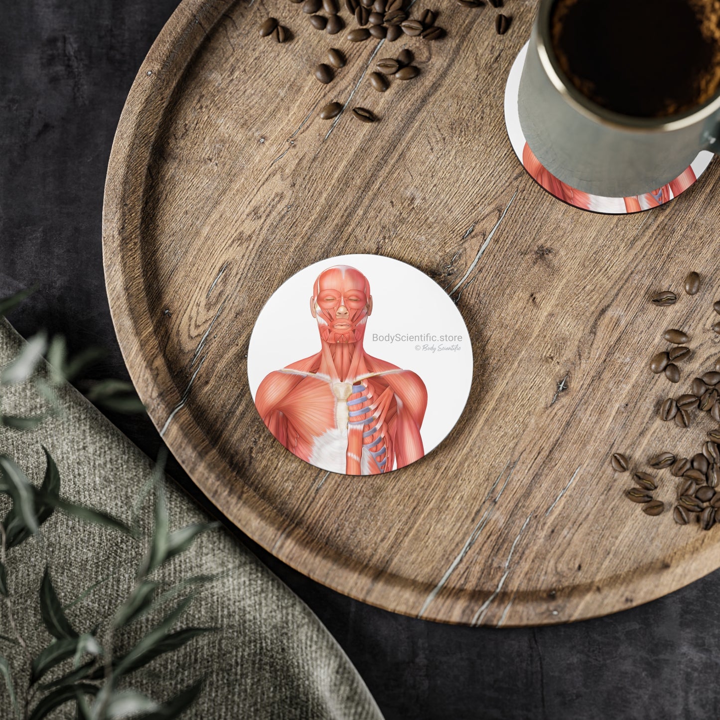 Muscle Coasters