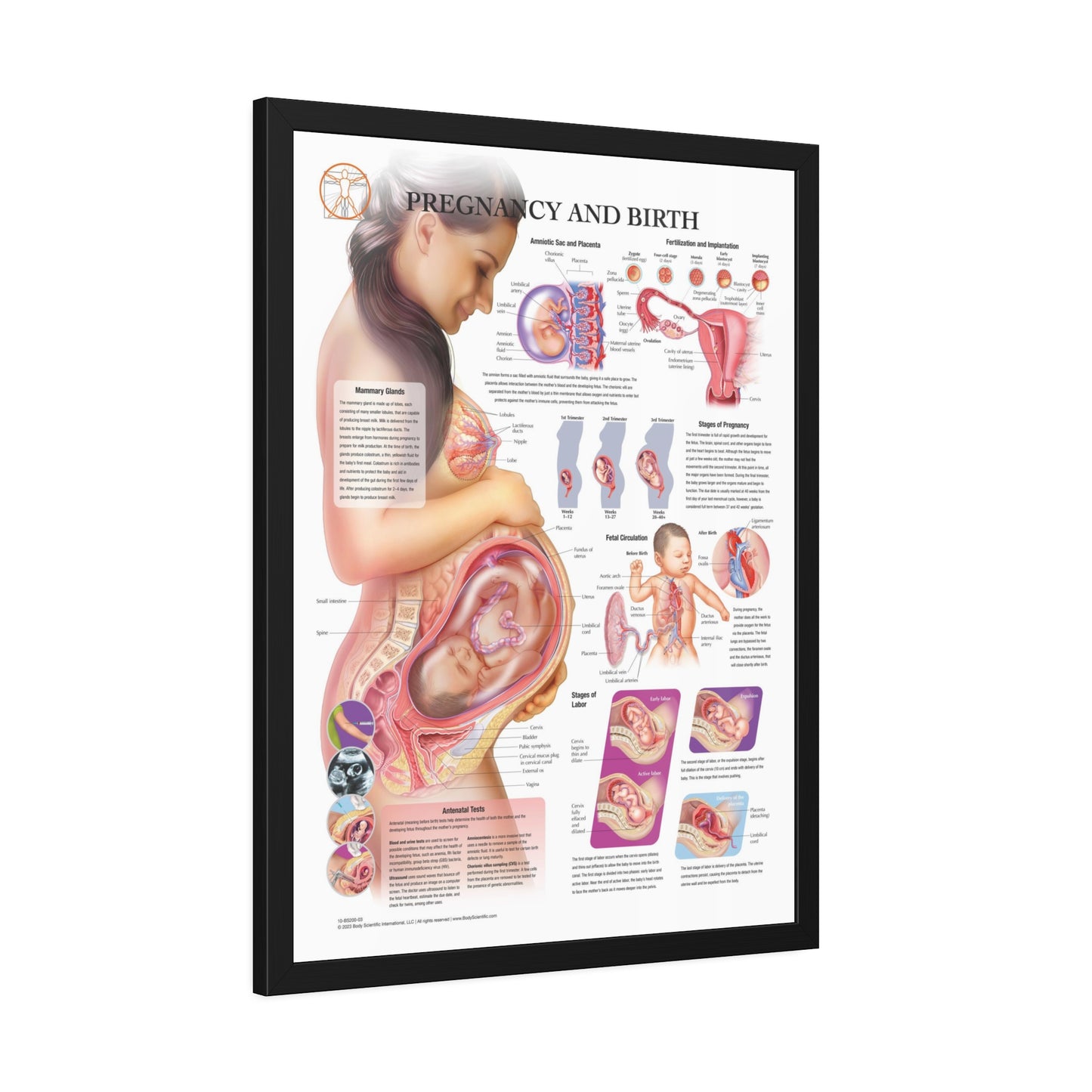 Framed Pregnancy and Birth