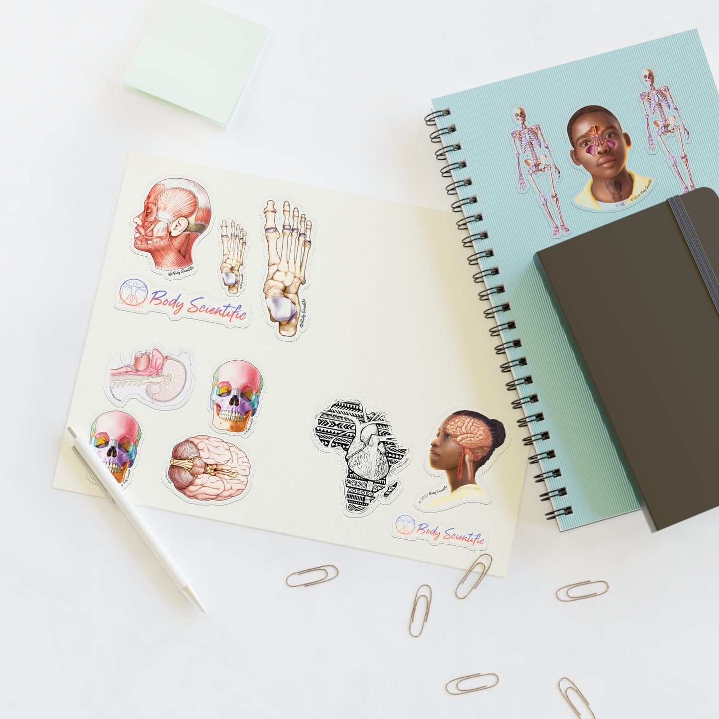 Sticker Sheets - Diecut Sticker
