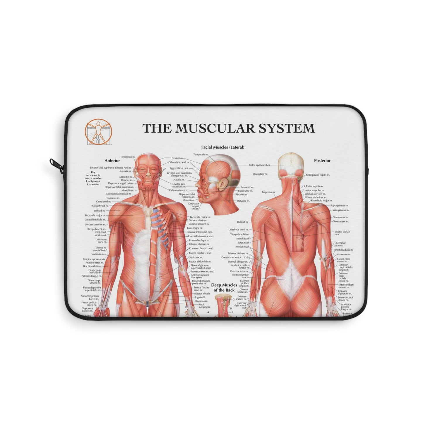 Muscular System Laptop Sleeve