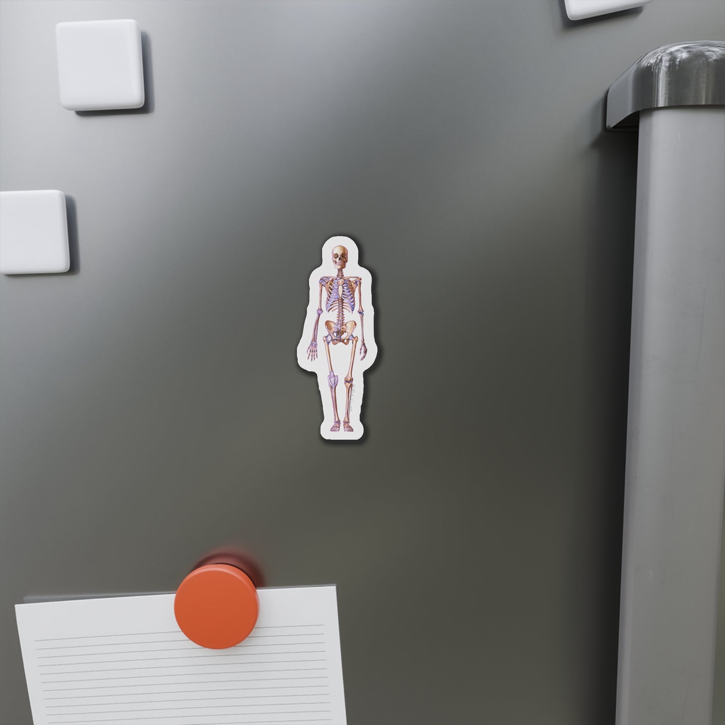 Skeleton - Diecut Magnet