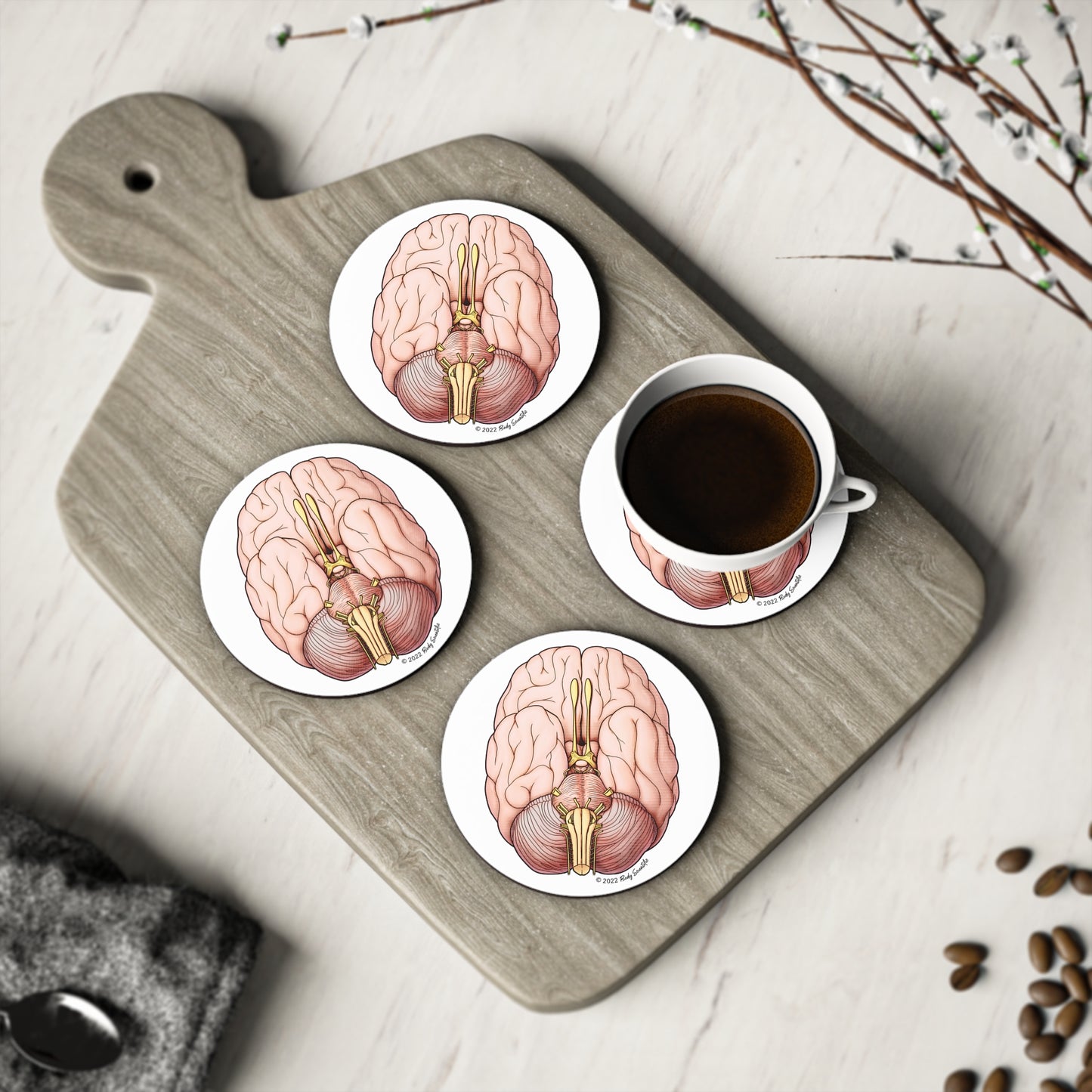 Brain Coasters