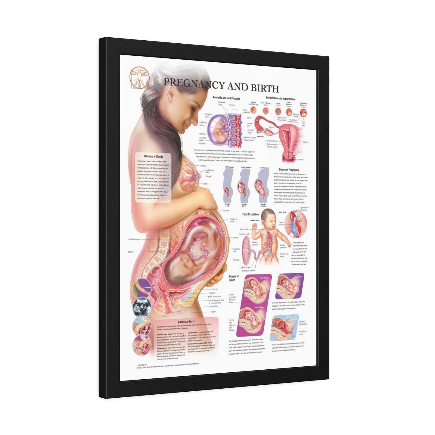 Framed Pregnancy and Birth