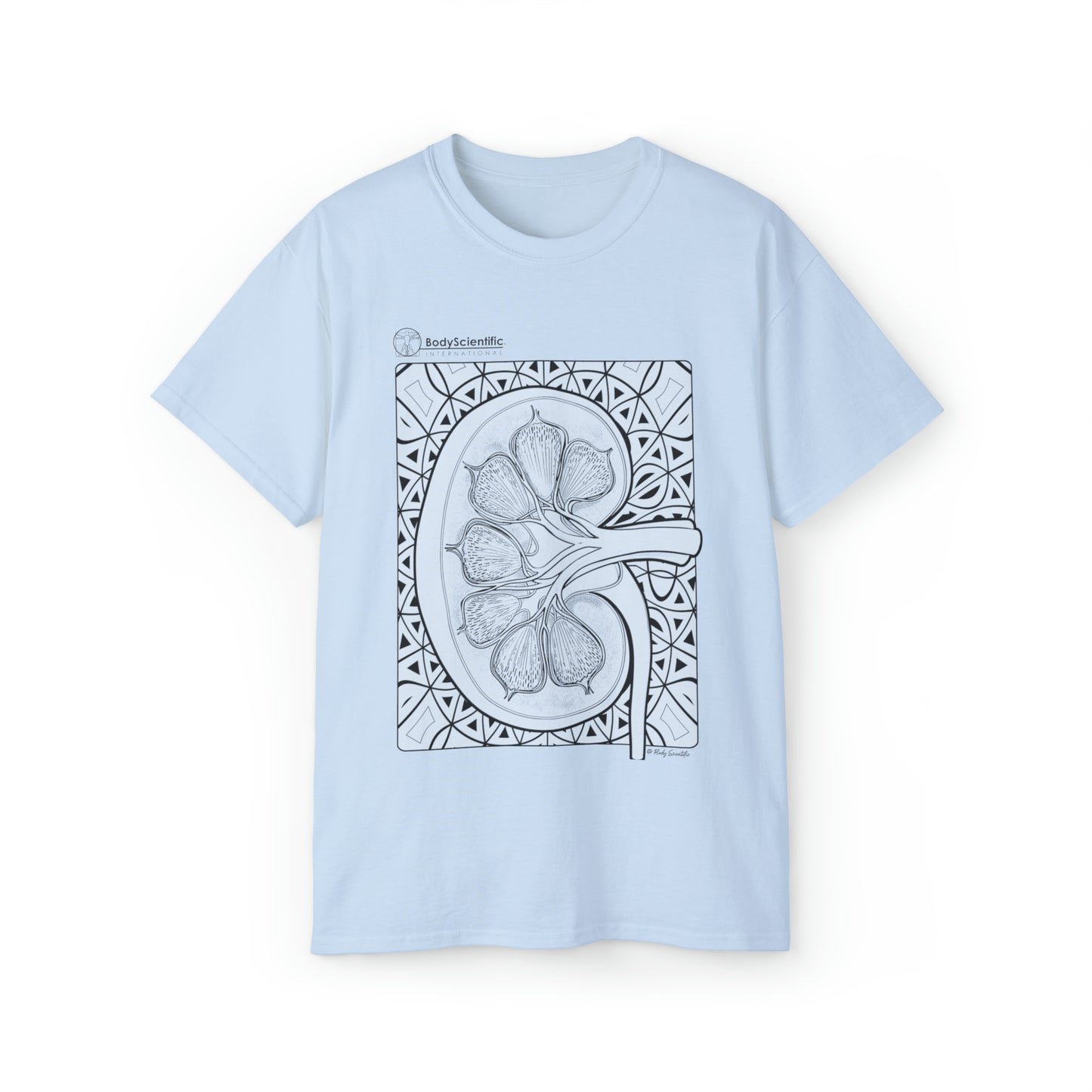 The Kidney
