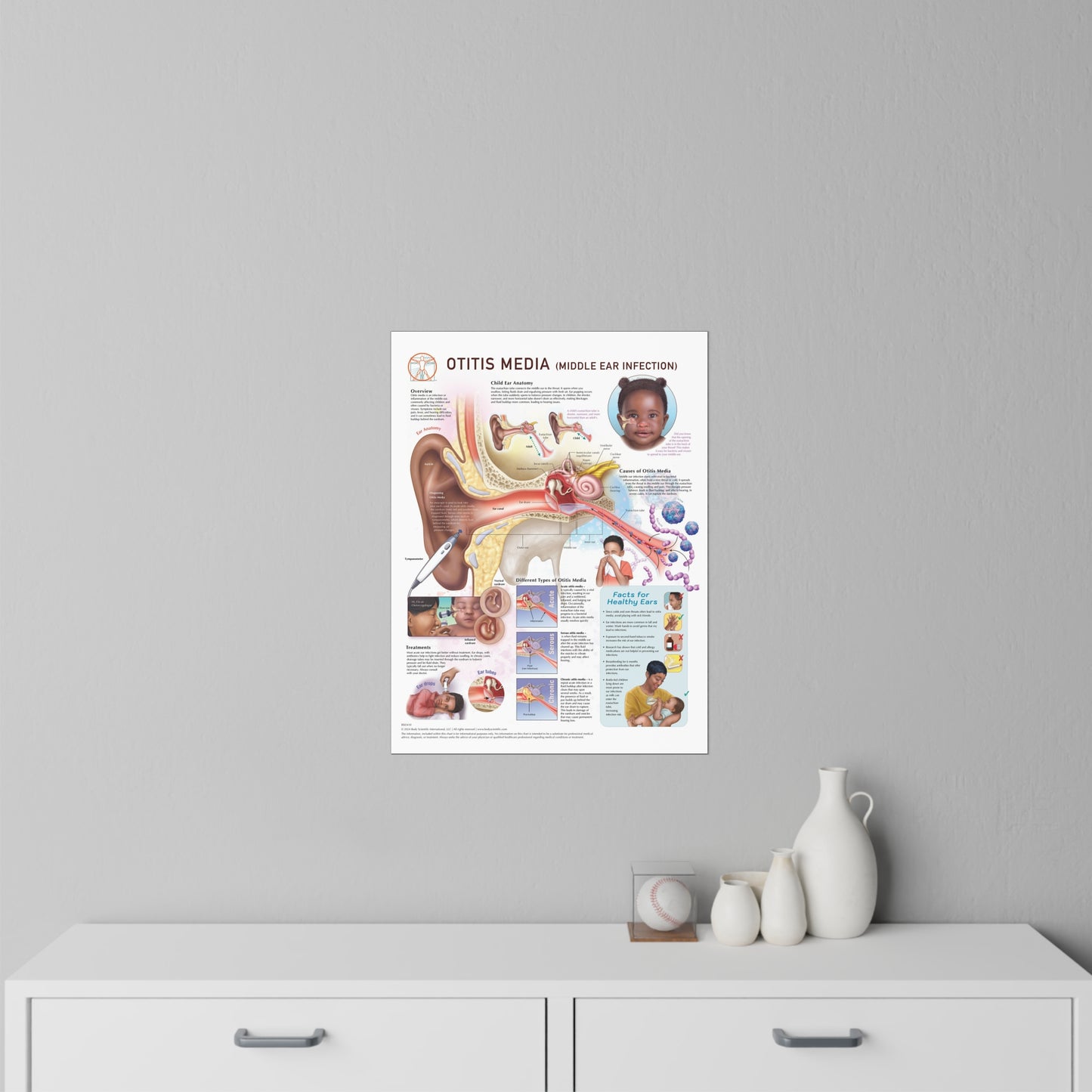 Otitis Media (Middle Ear Infection) - Decal