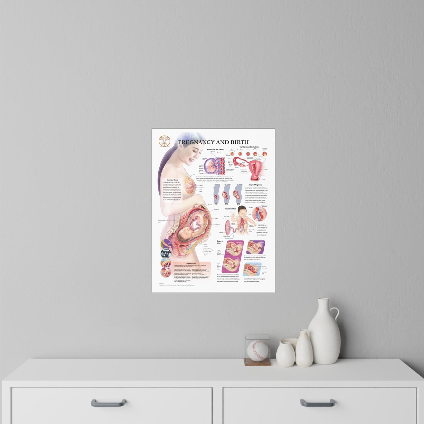 Pregnancy and Birth - Decal
