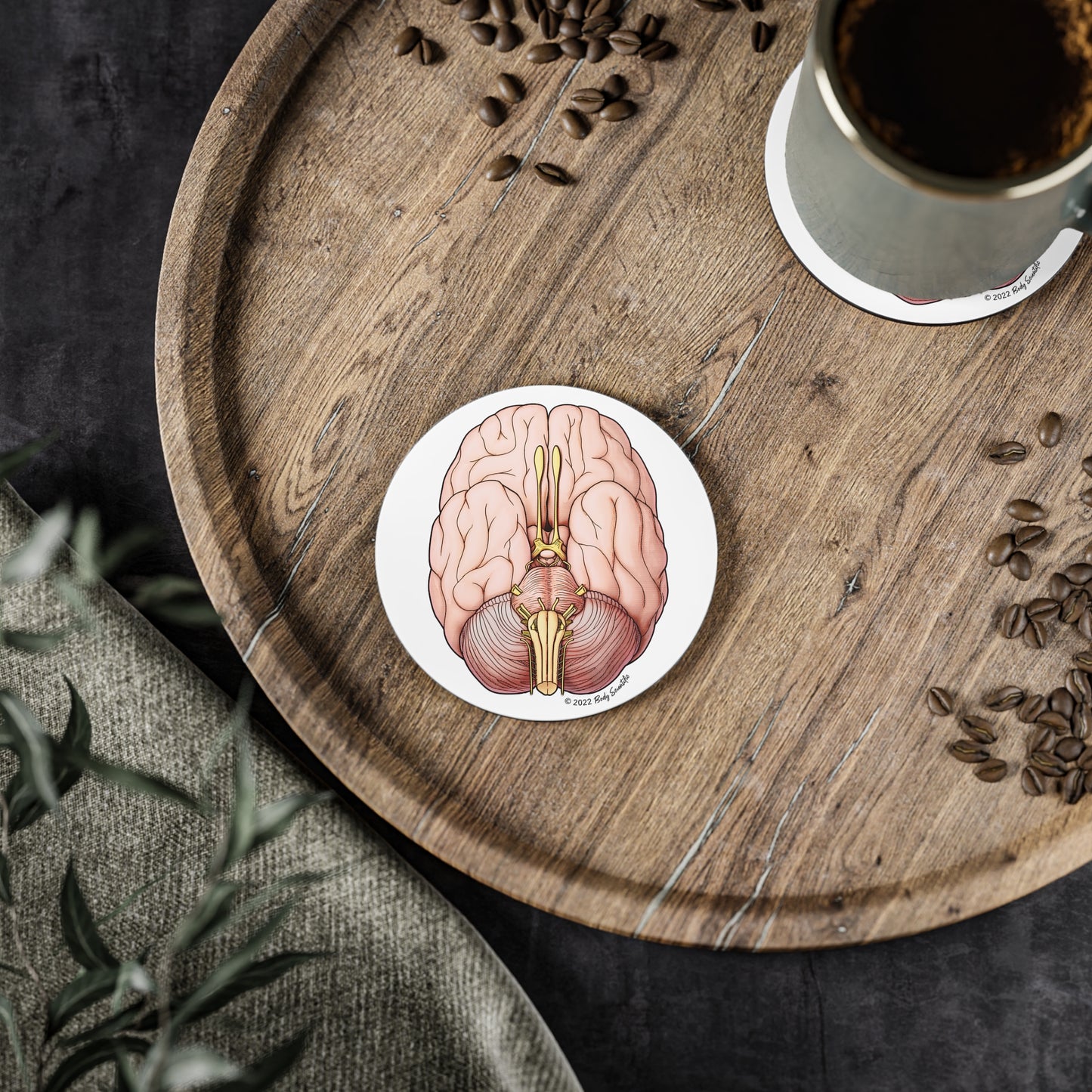 Brain Coasters