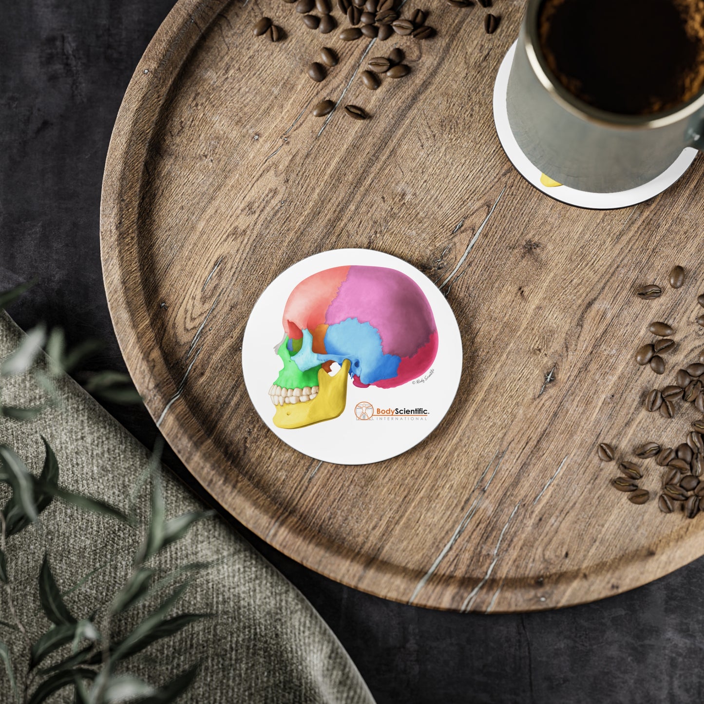Lateral Skull Coasters
