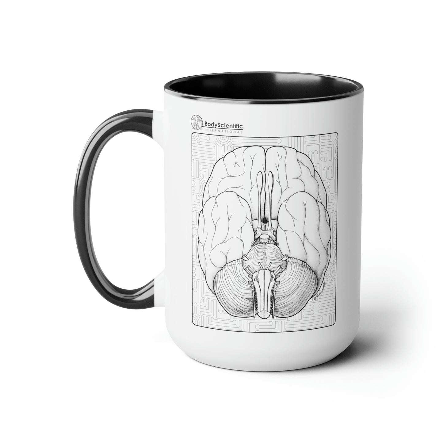 The Brain, 15oz