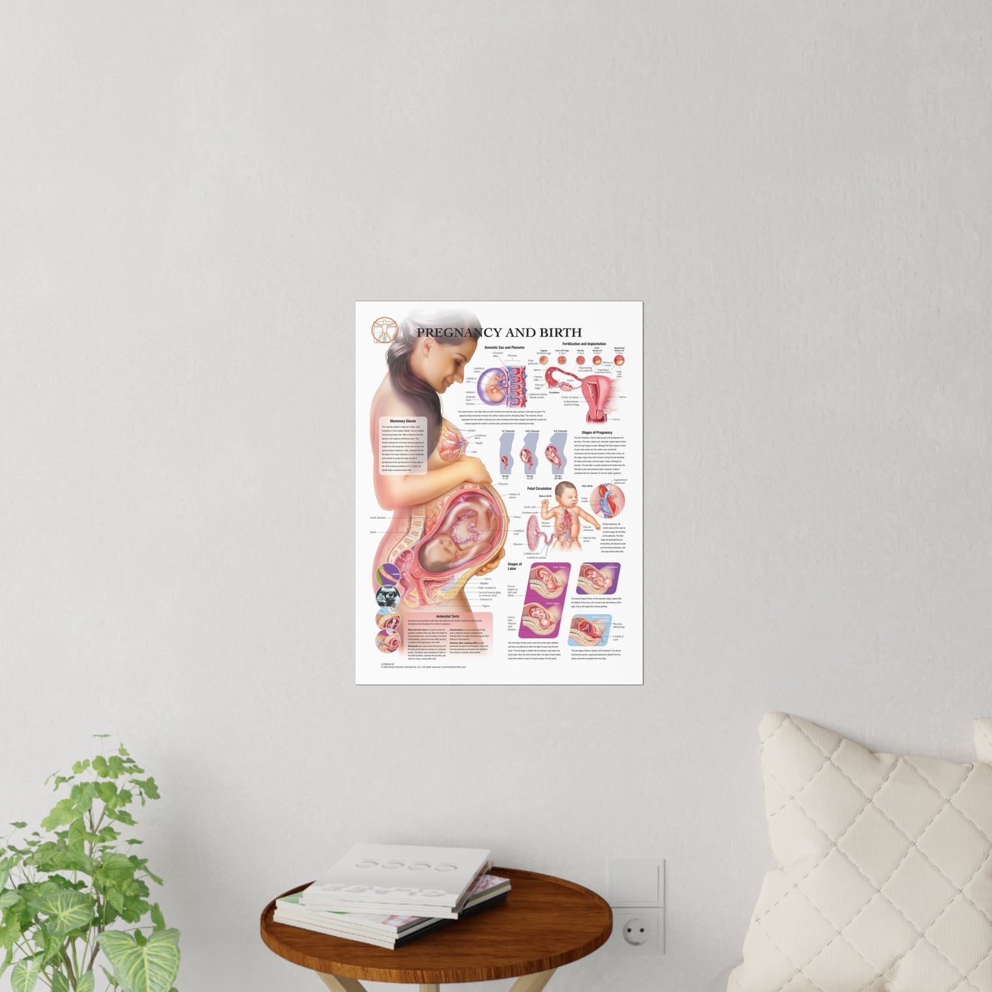 Pregnancy and Birth - Decal