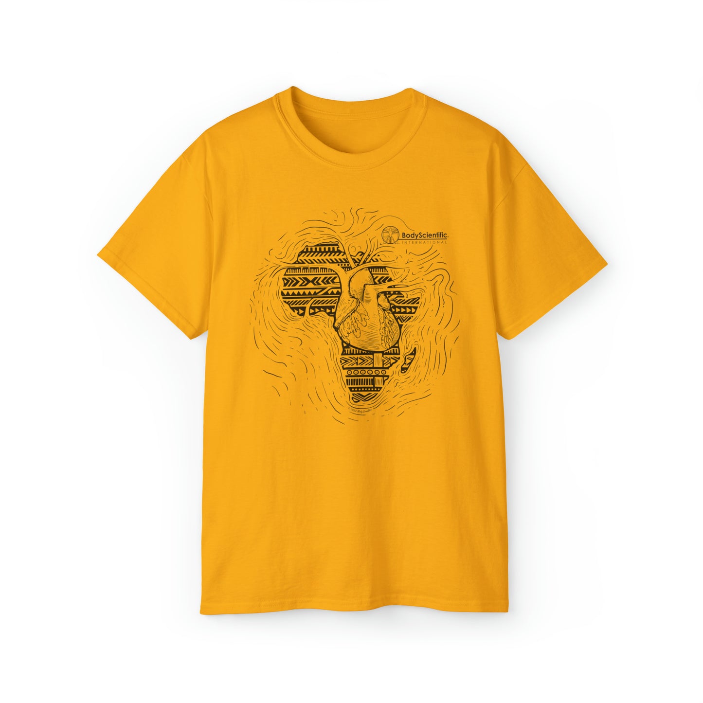 Africa Health