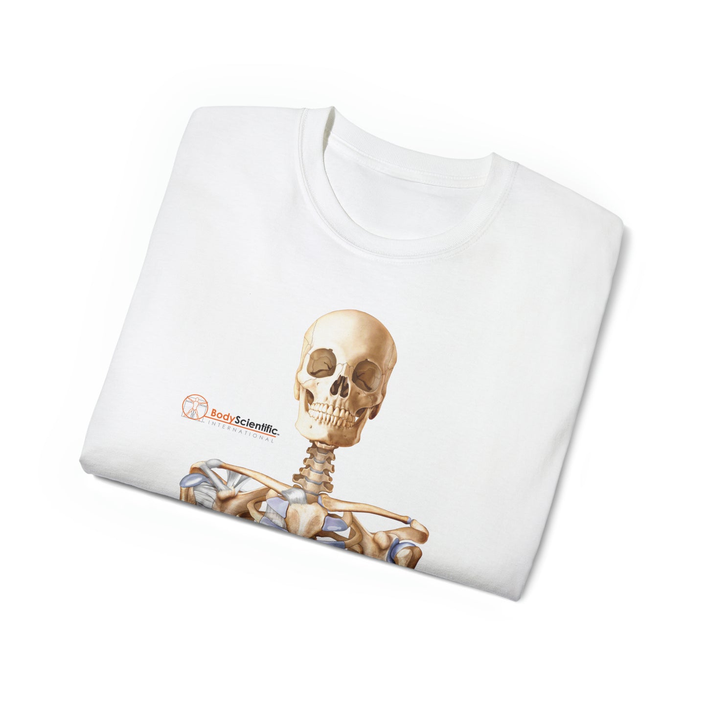 Skeleton (ant/post)