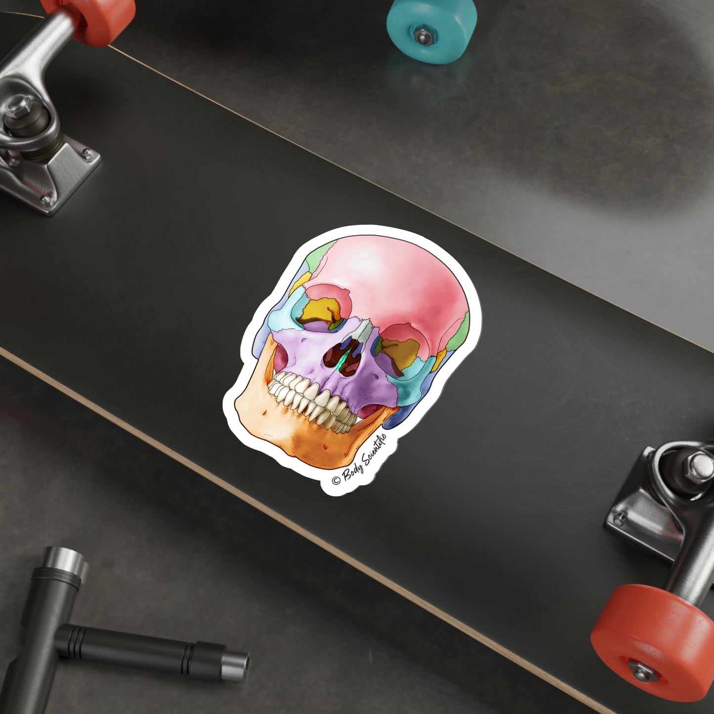 Skull - Diecut Sticker