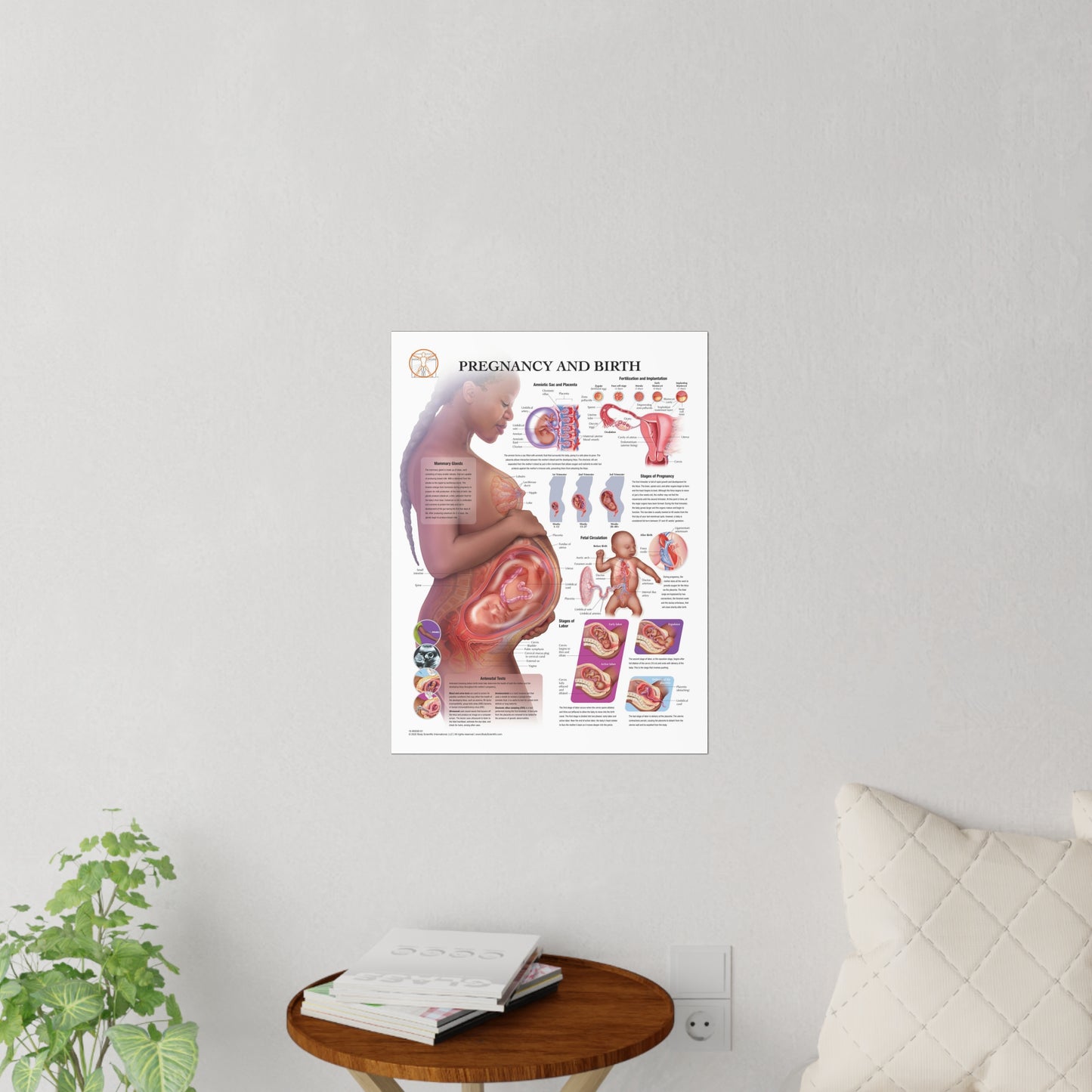 Pregnancy and Birth - Decal