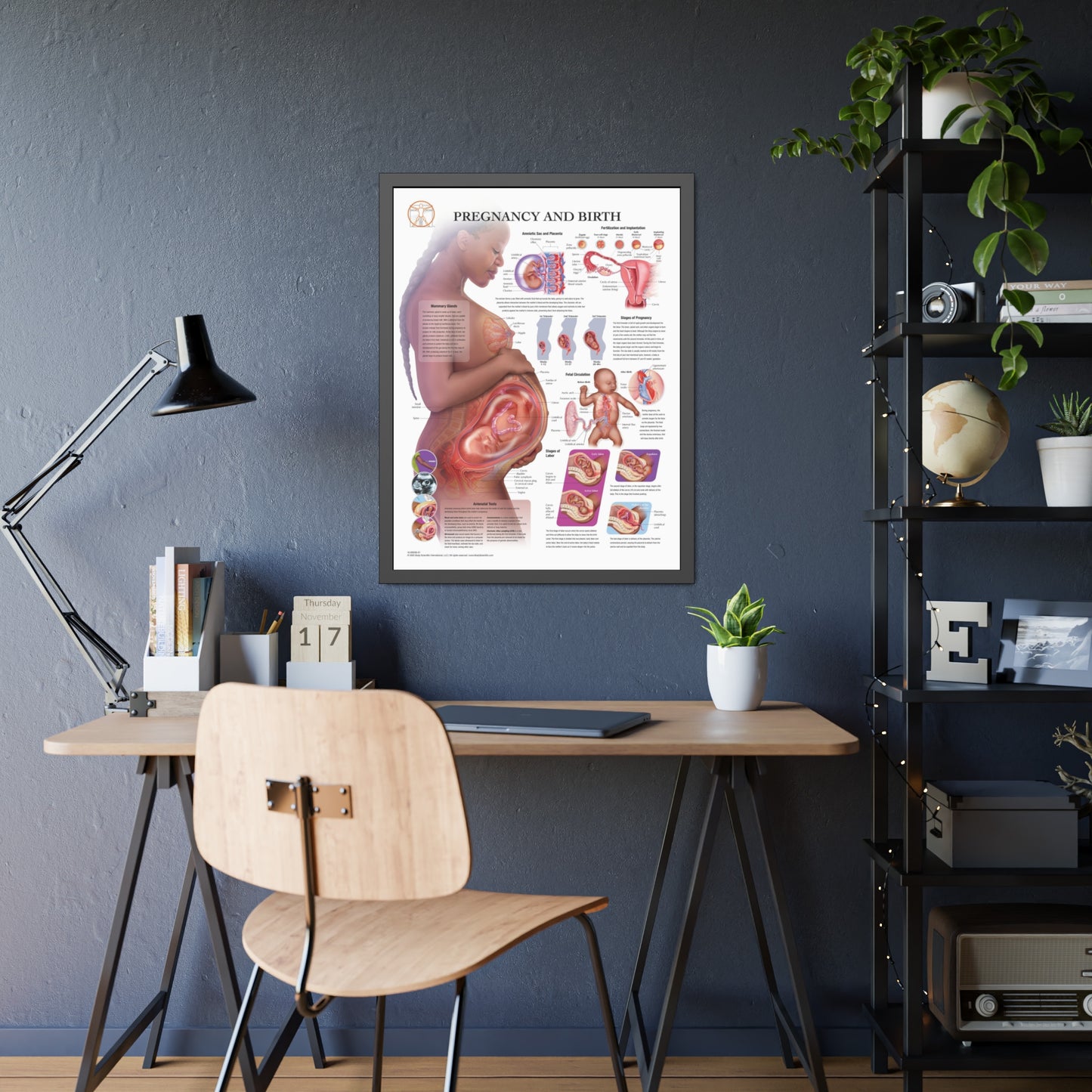 Framed Pregnancy and Birth
